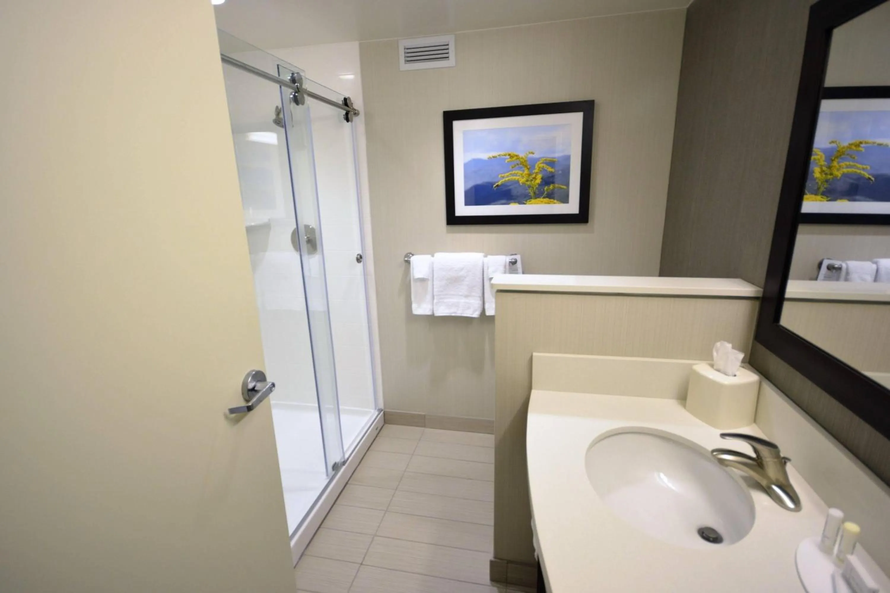 Bathroom in Courtyard by Marriott Asheville Airport