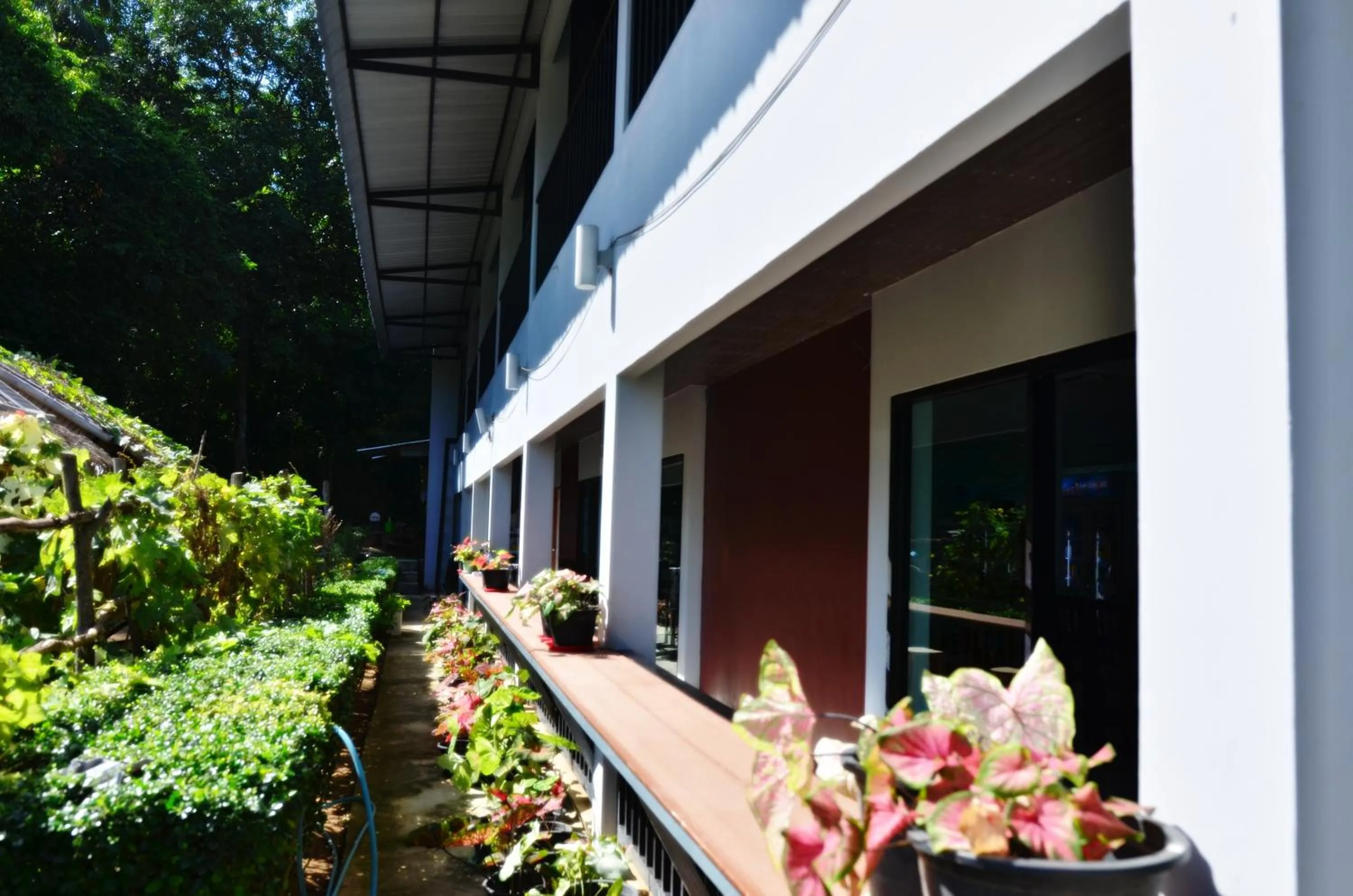 Garden view in Heimat Garden