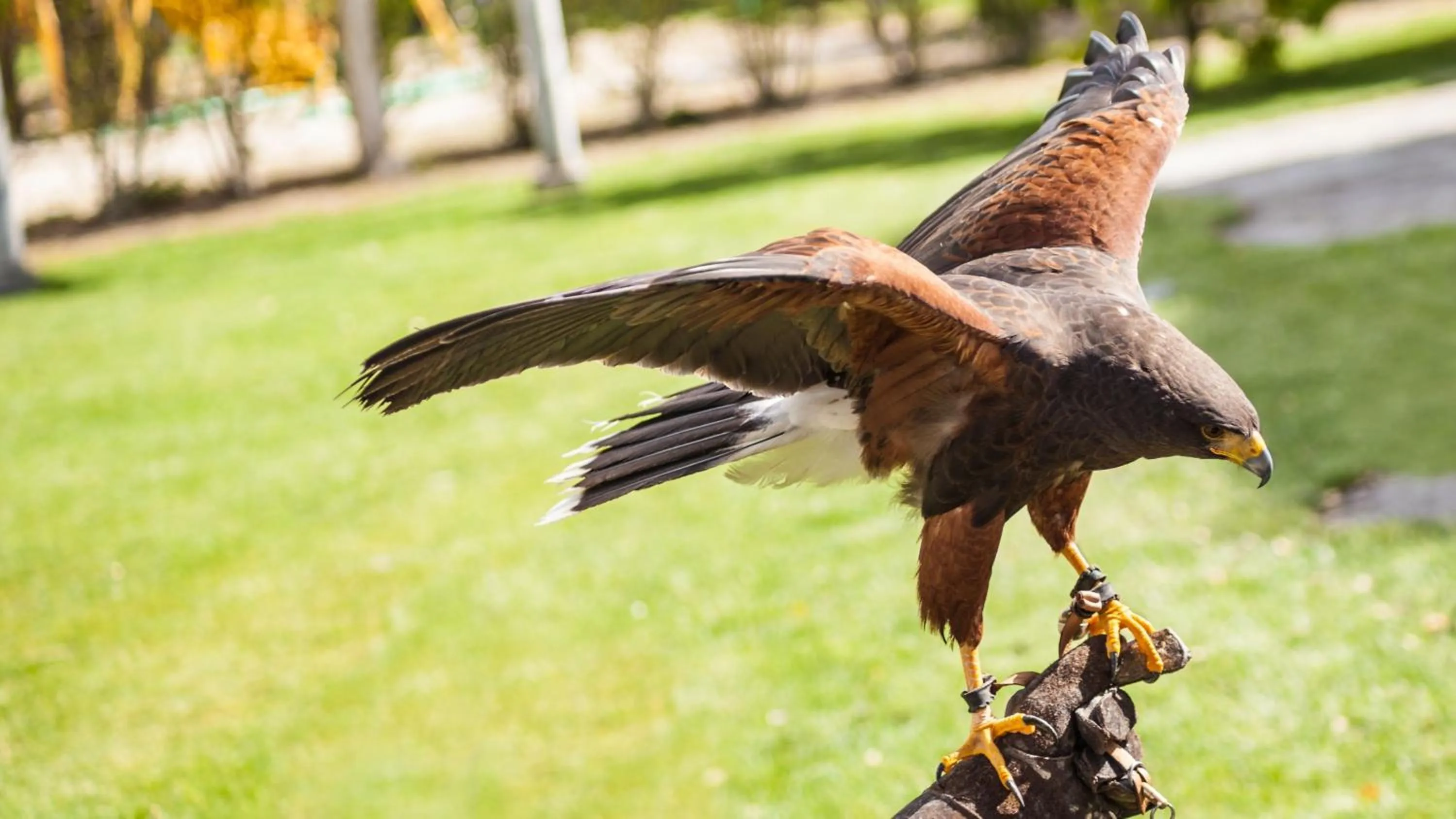 Area and facilities in Holiday Inn Northampton by IHG