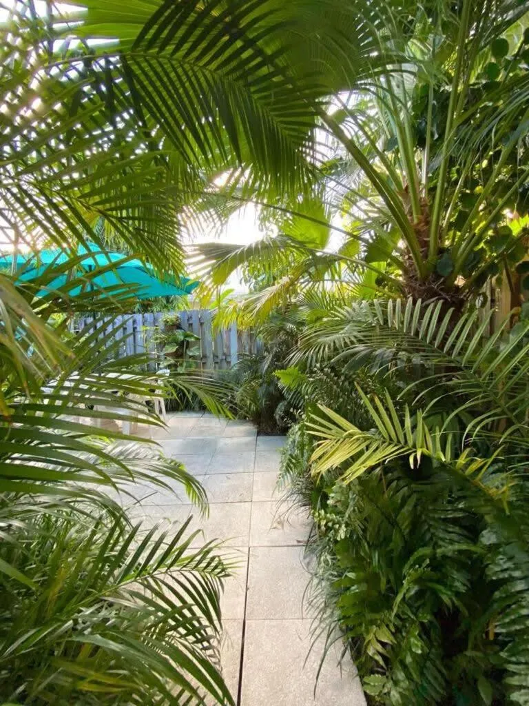 Welcoming Airbnb Walkig distance to Las Olas Blvd