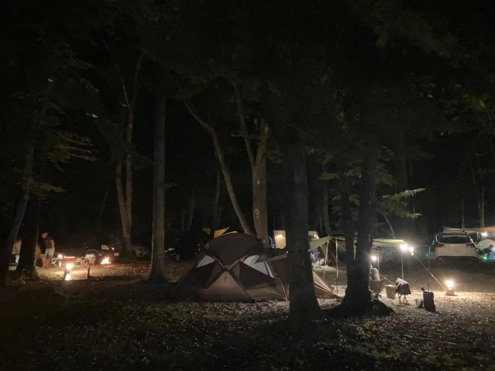 Night in PICA Fujiyoshida