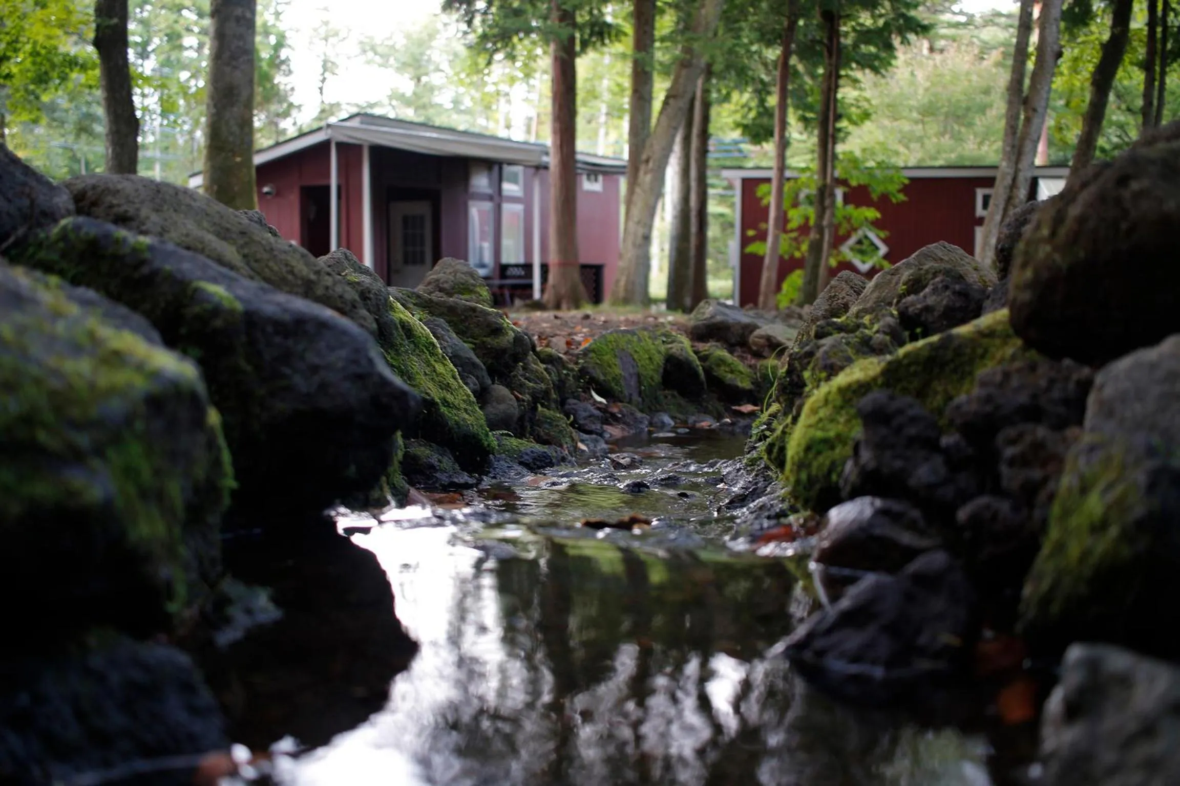 Natural landscape in PICA Fujiyoshida