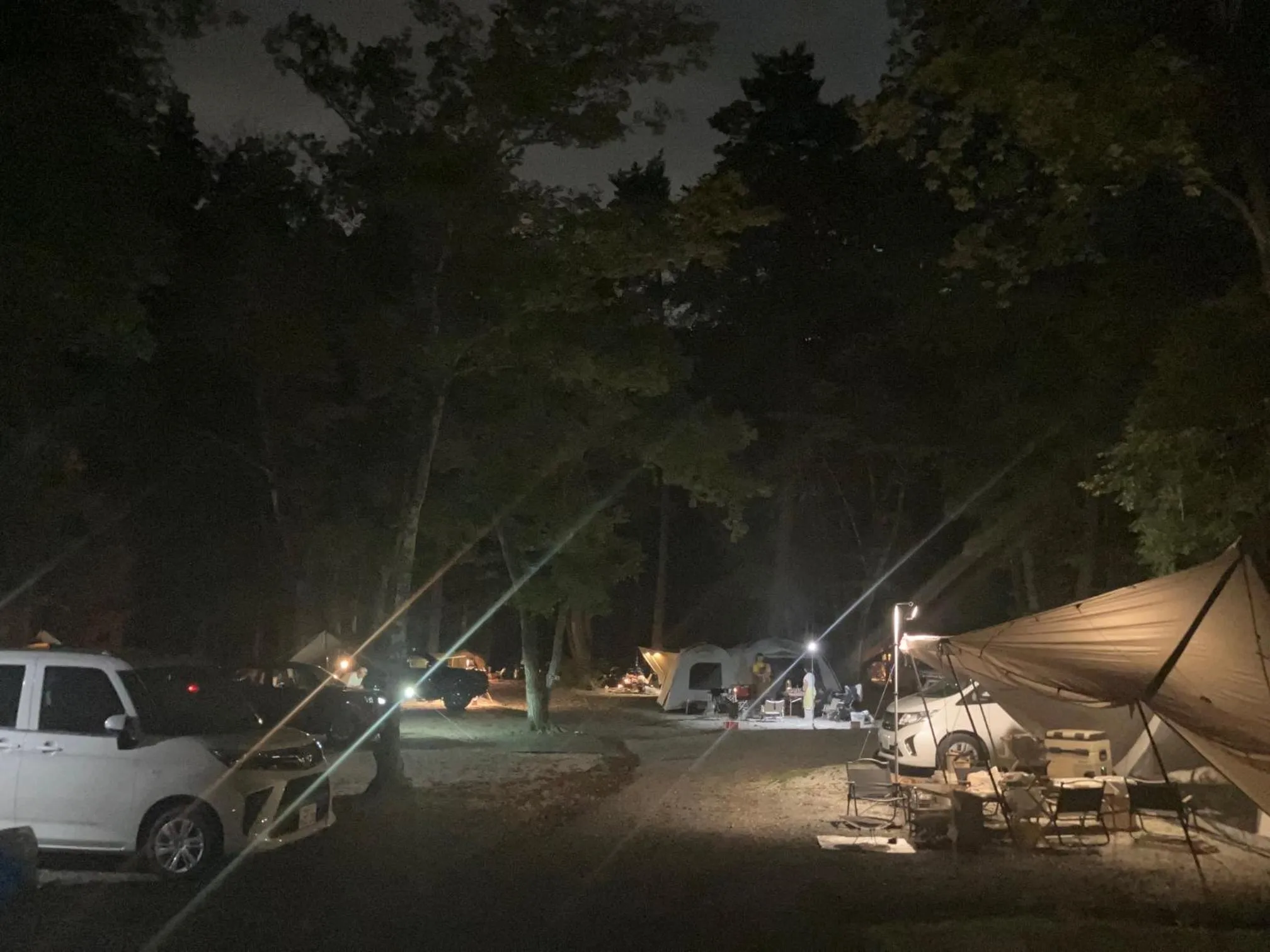 Night in PICA Fujiyoshida