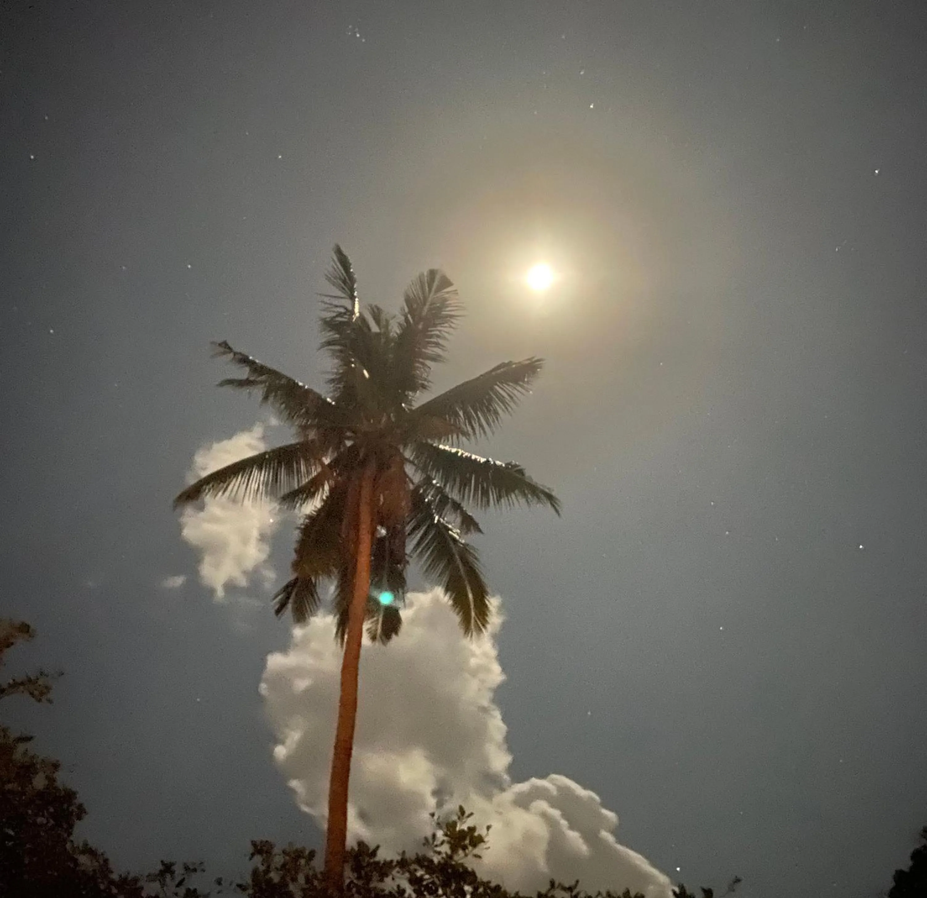 Natural landscape in Secret Beach Bungalows