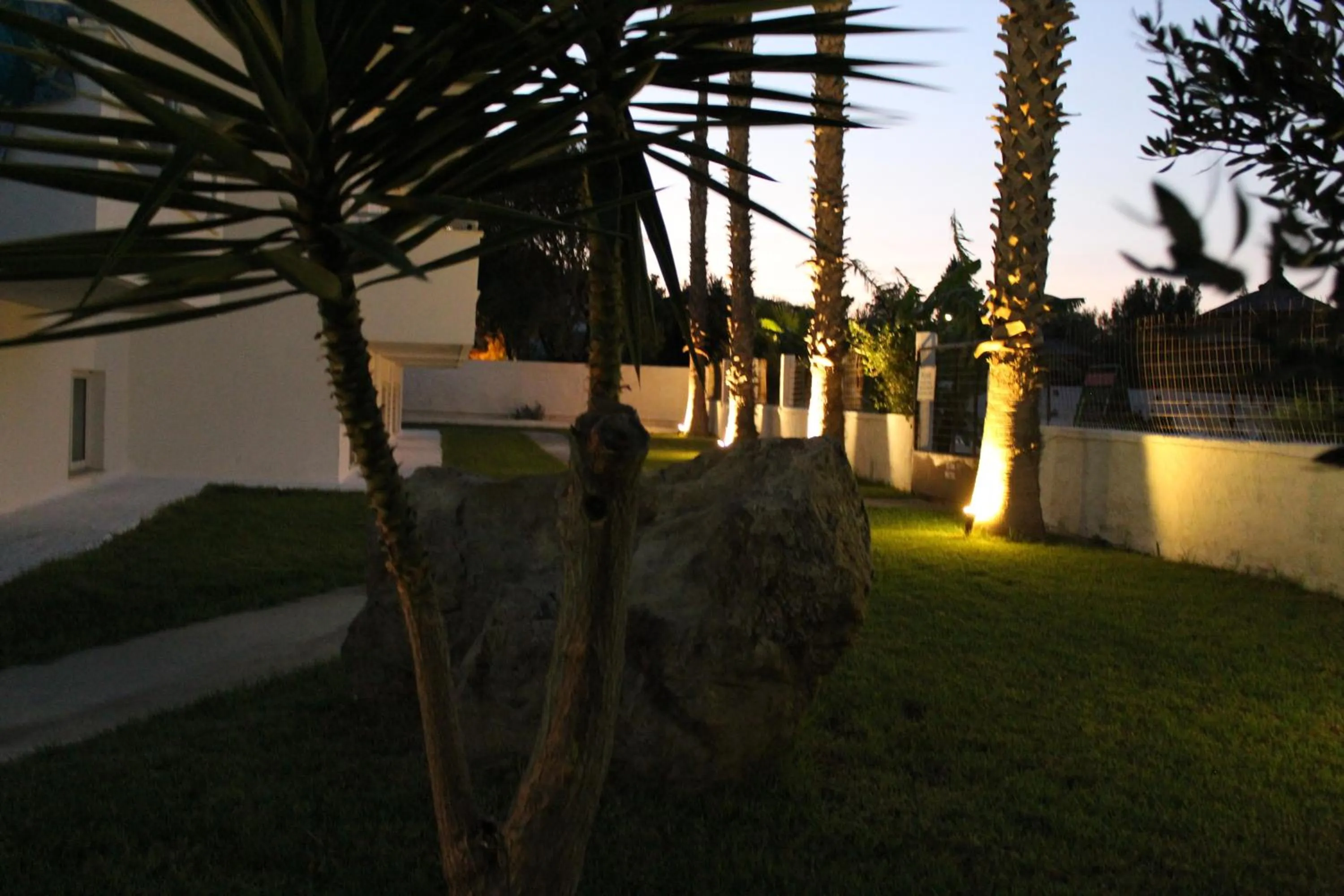 Garden in Elga Hotel & apartments
