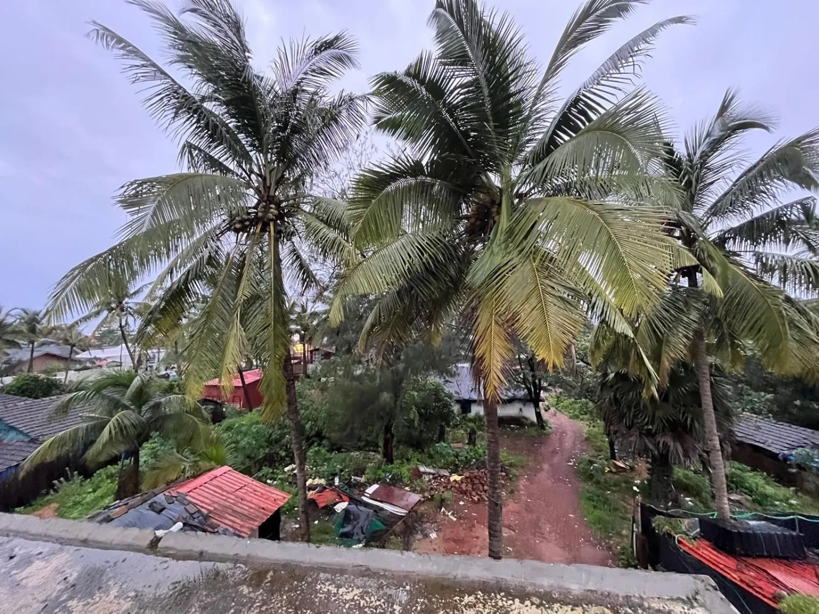 Day in Hotel Saffron Baga