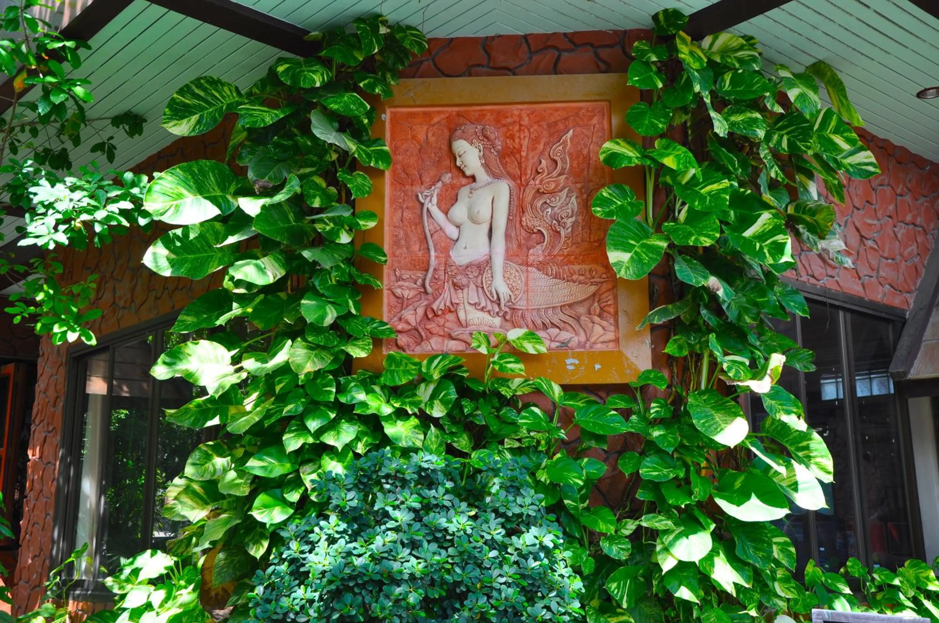 Garden in Coral Bungalows