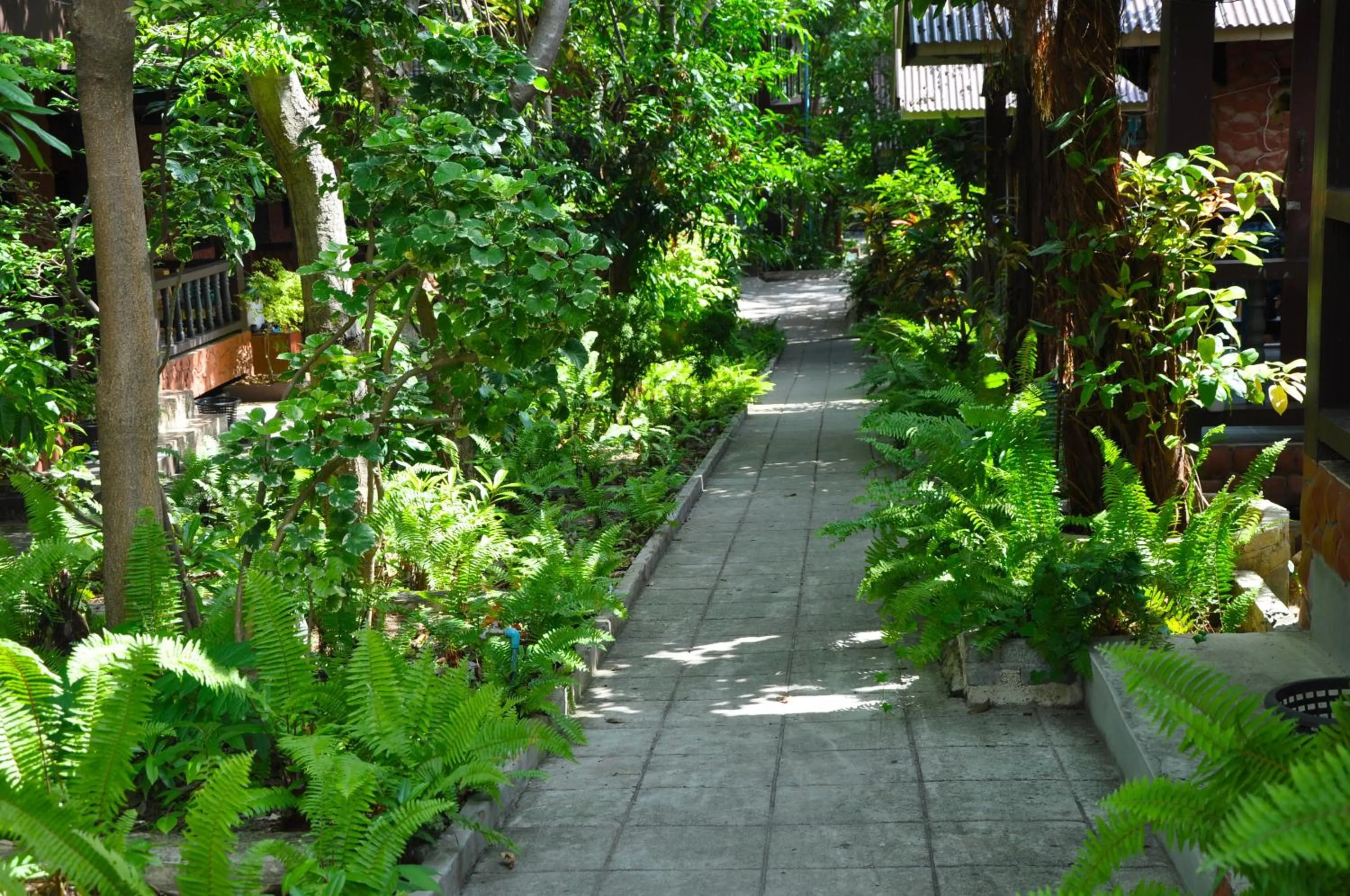Garden in Coral Bungalows