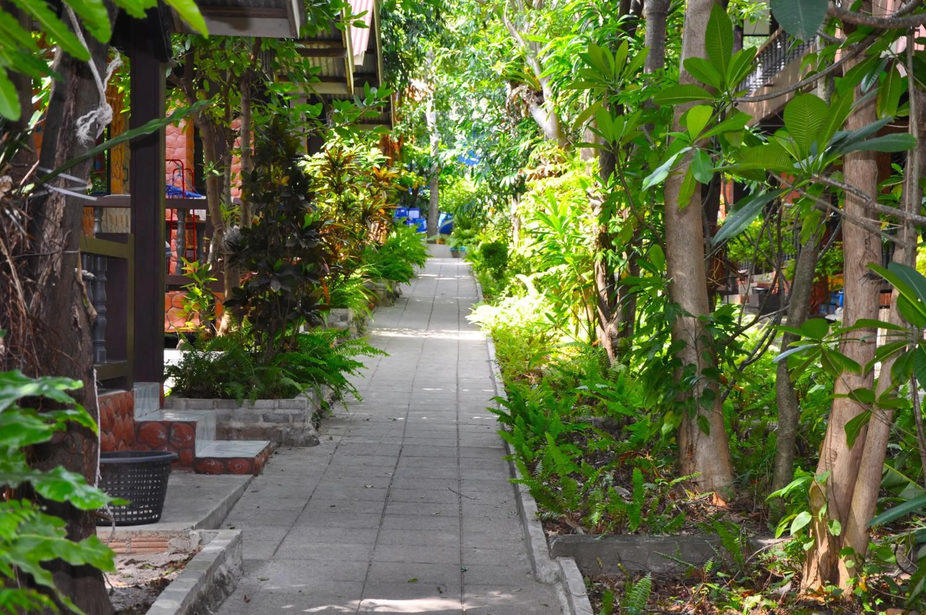 Garden in Coral Bungalows