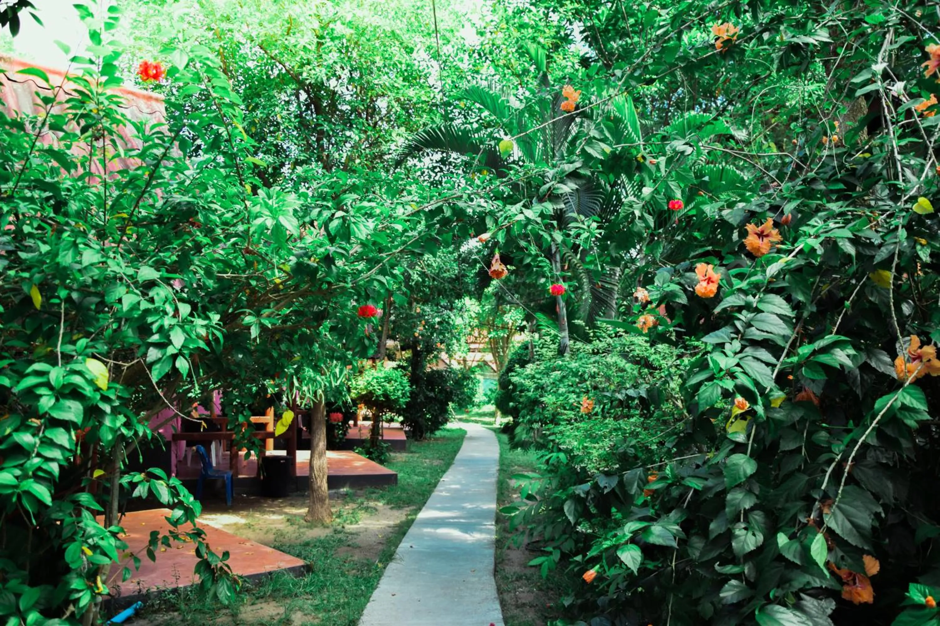 Garden in Coral Bungalows