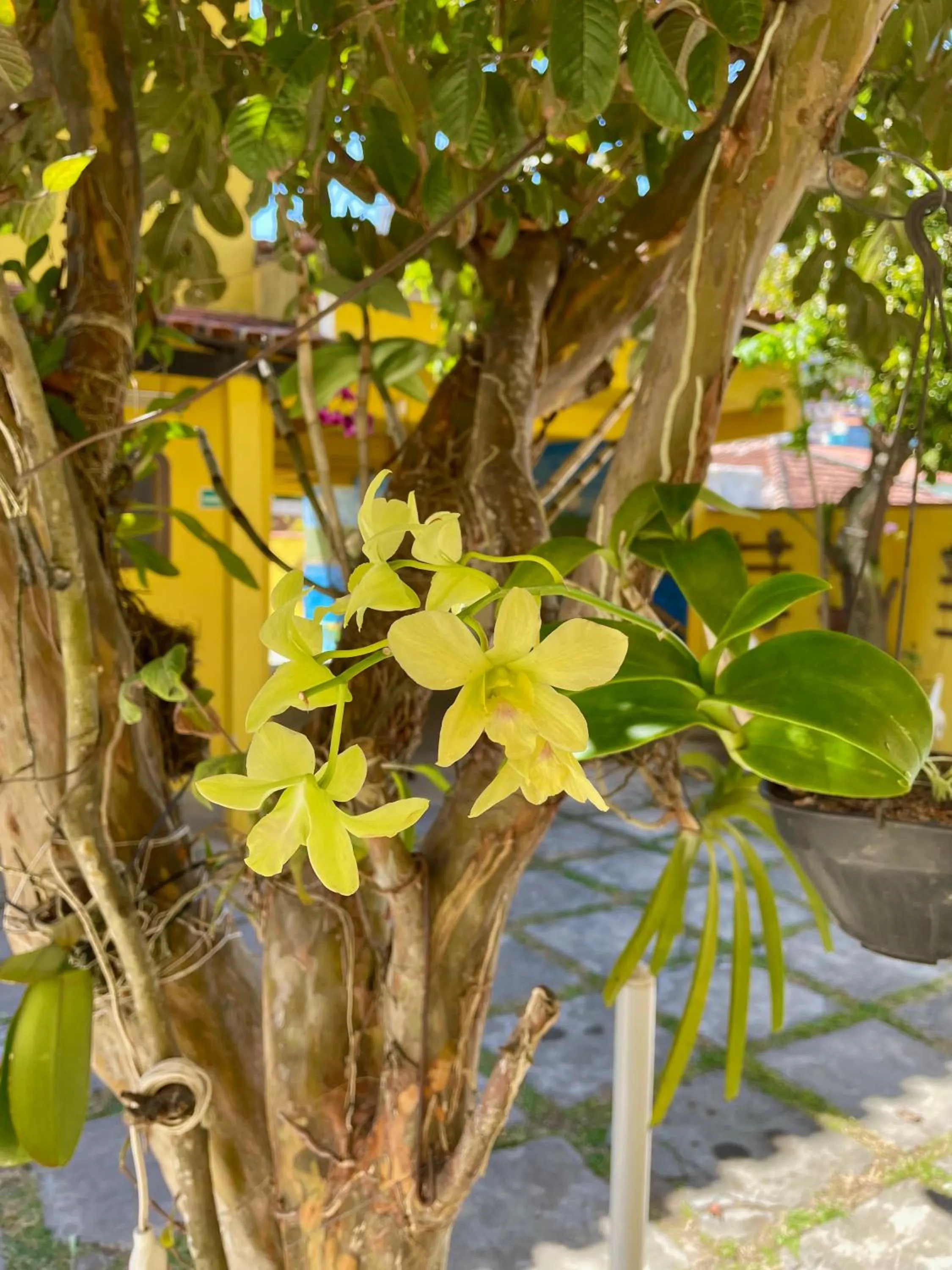 Day in Pousada Toca dos Coelhos