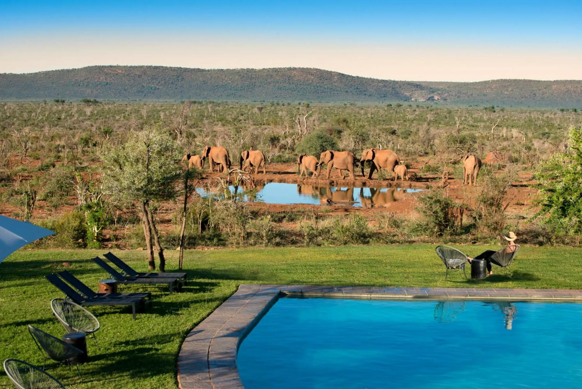 Swimming pool in Madikwe Safari Lodge