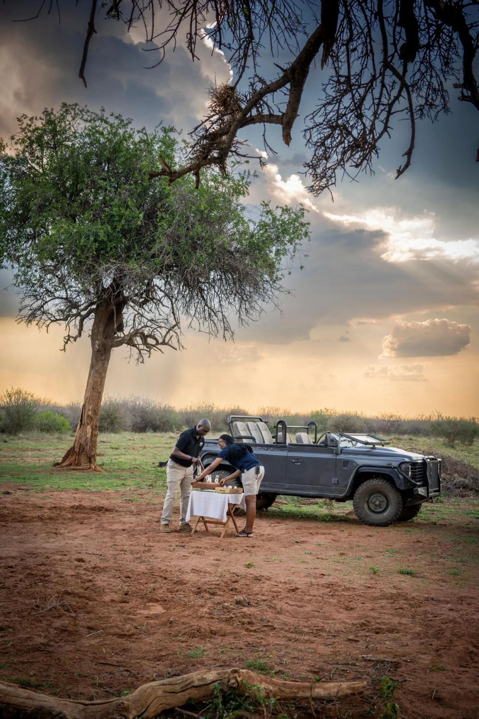Day in Madikwe Safari Lodge