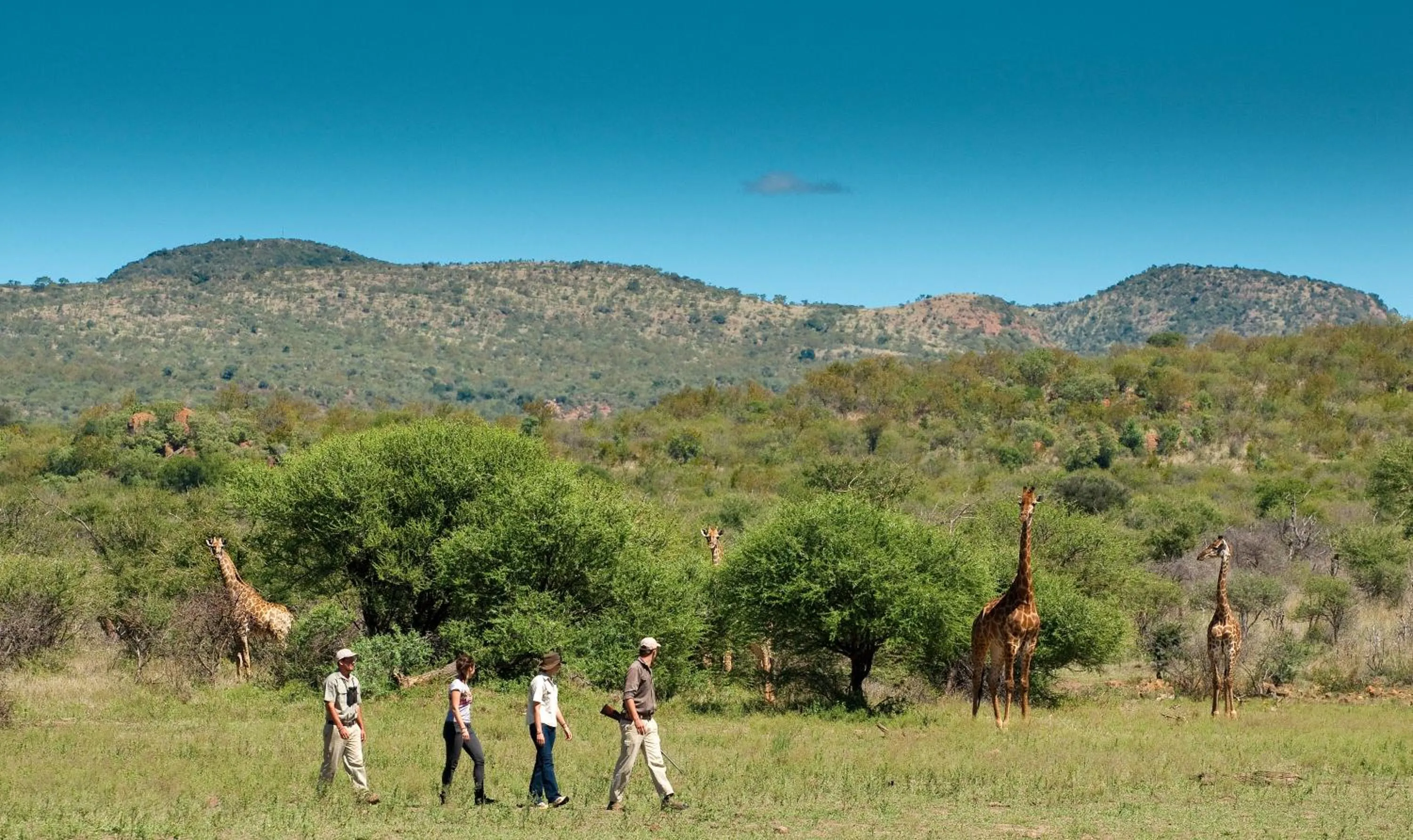 Natural landscape in Madikwe Safari Lodge