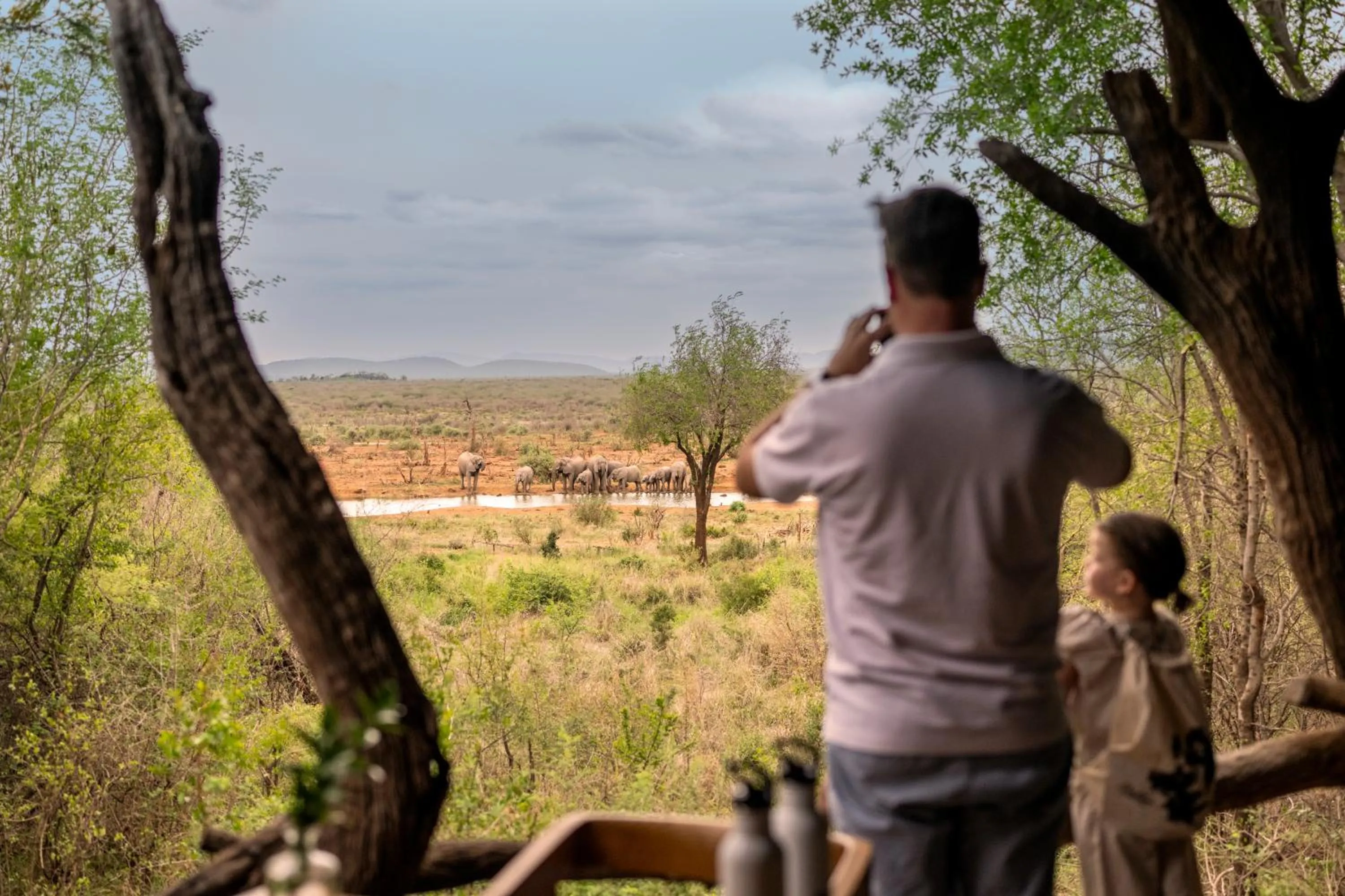 Day in Madikwe Safari Lodge