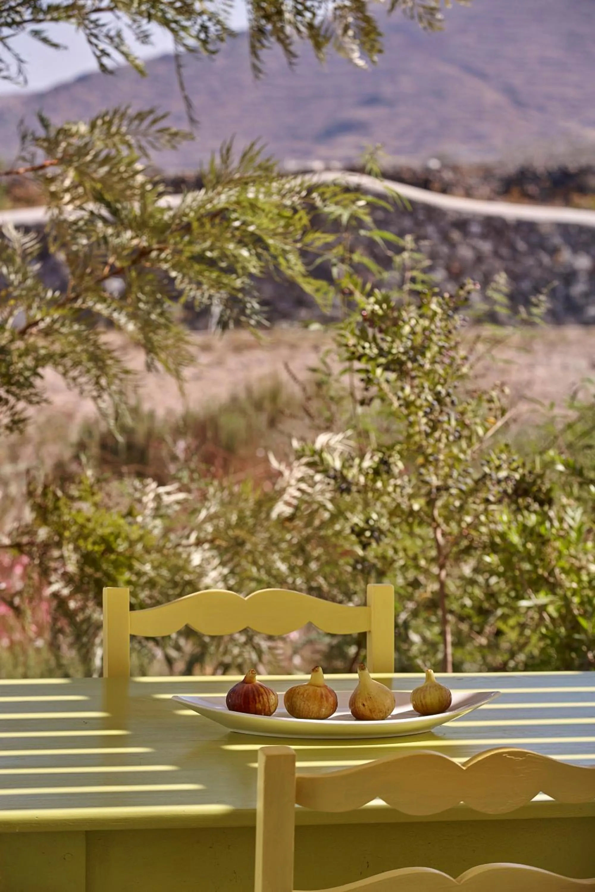 Balcony/Terrace in Villa Agrikoia