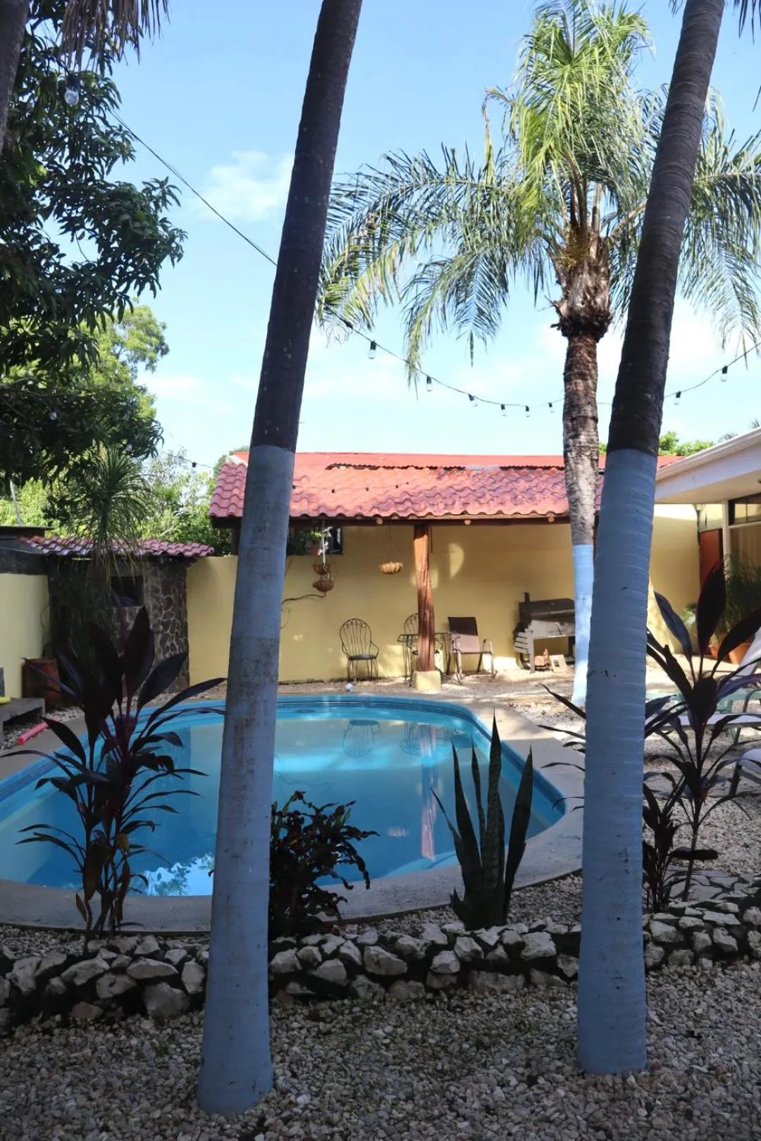 Day in Coconut Beach House