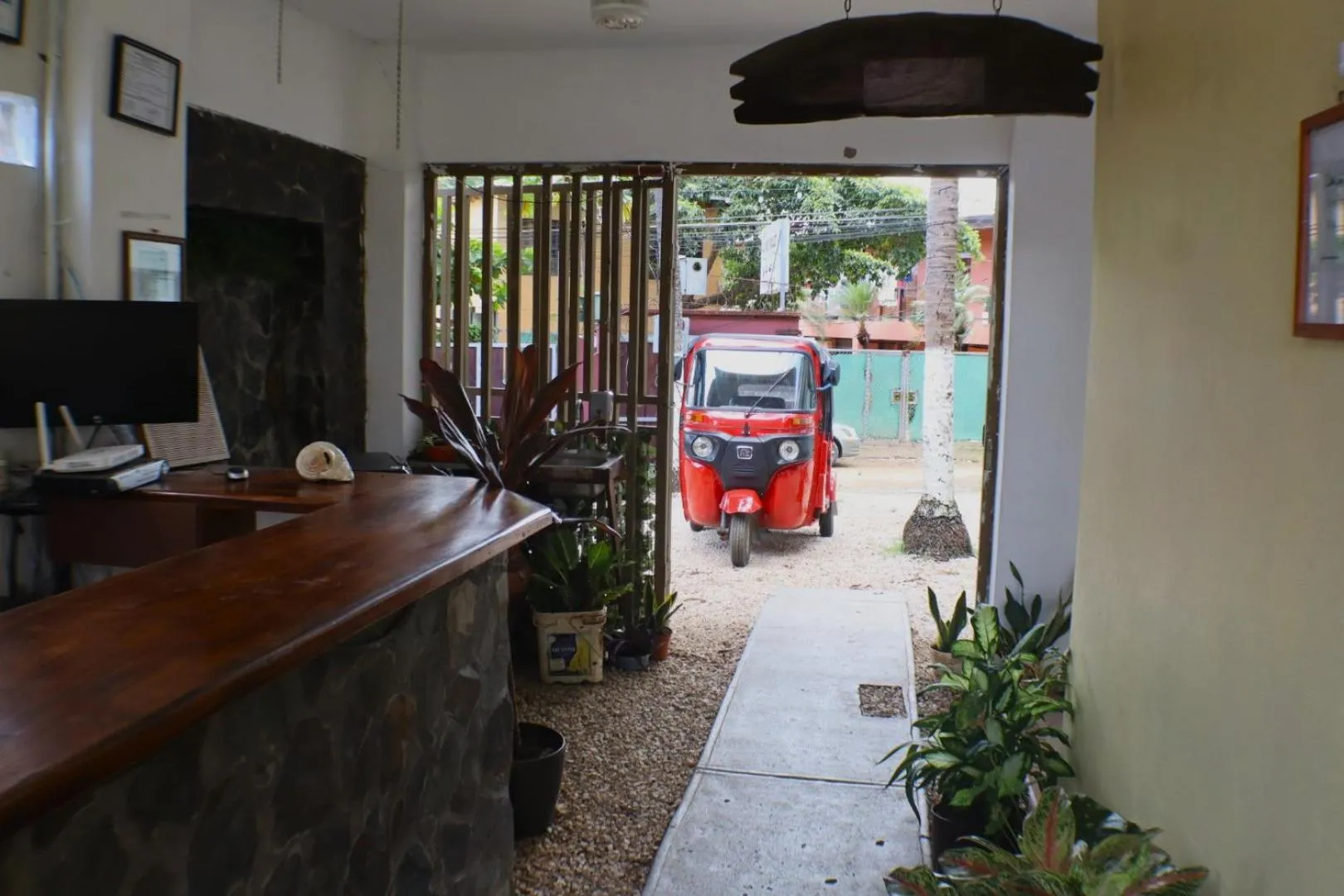 Garden in Coconut Beach House