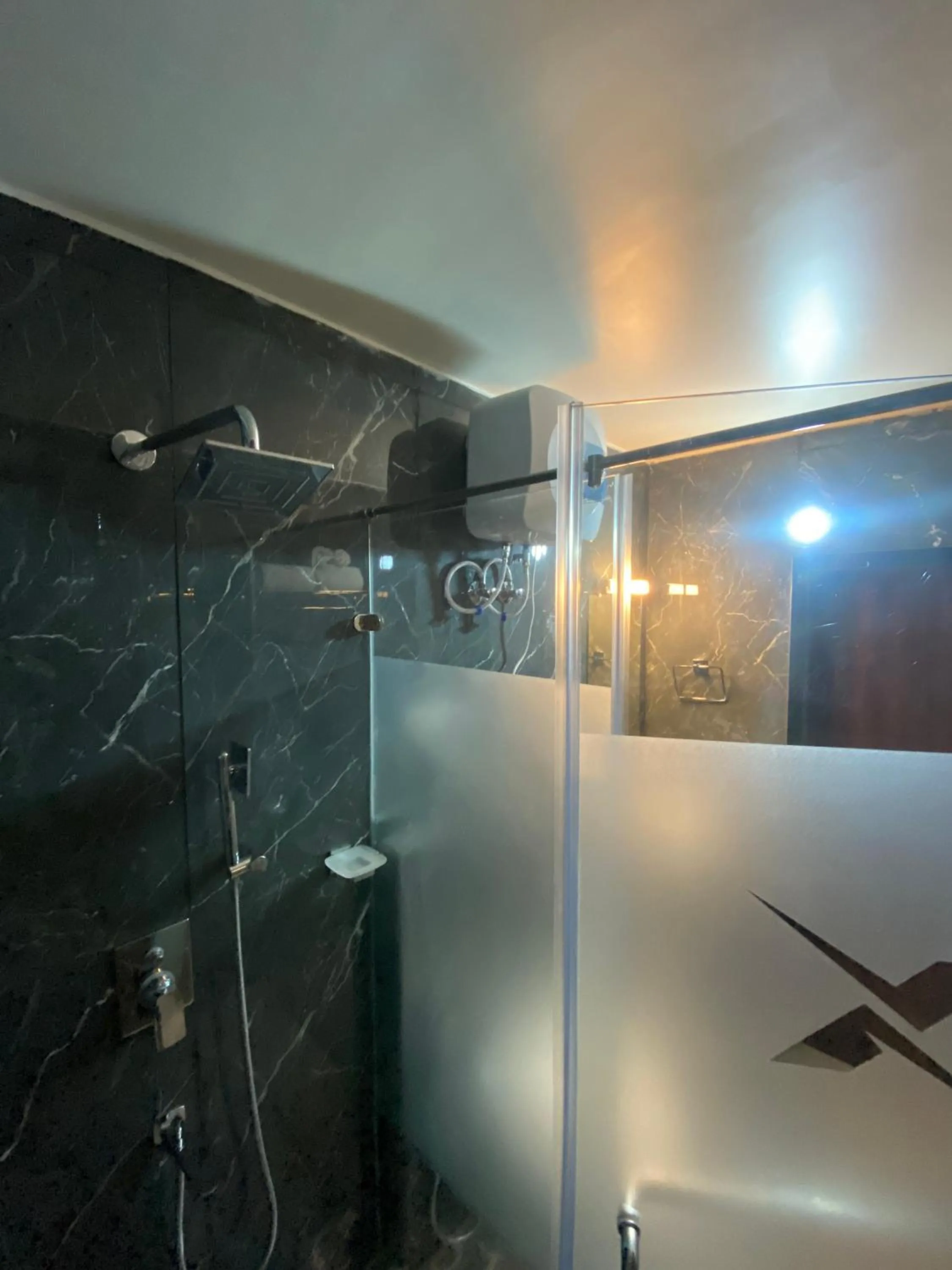 Shower in XCELSIOR HOTEL & SPA