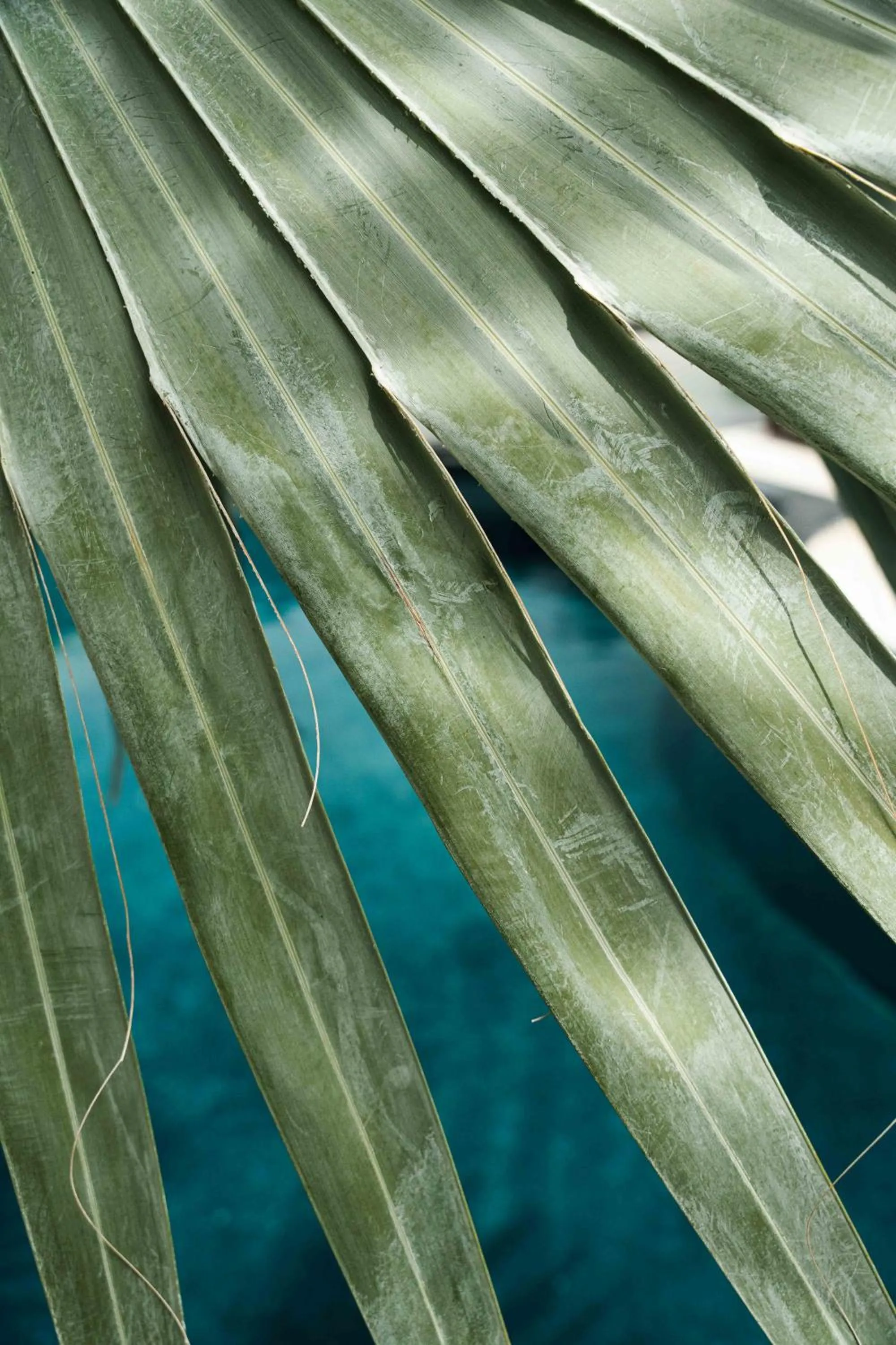 Natural landscape in La Belle Vie - Boutique Hotel Adults Only