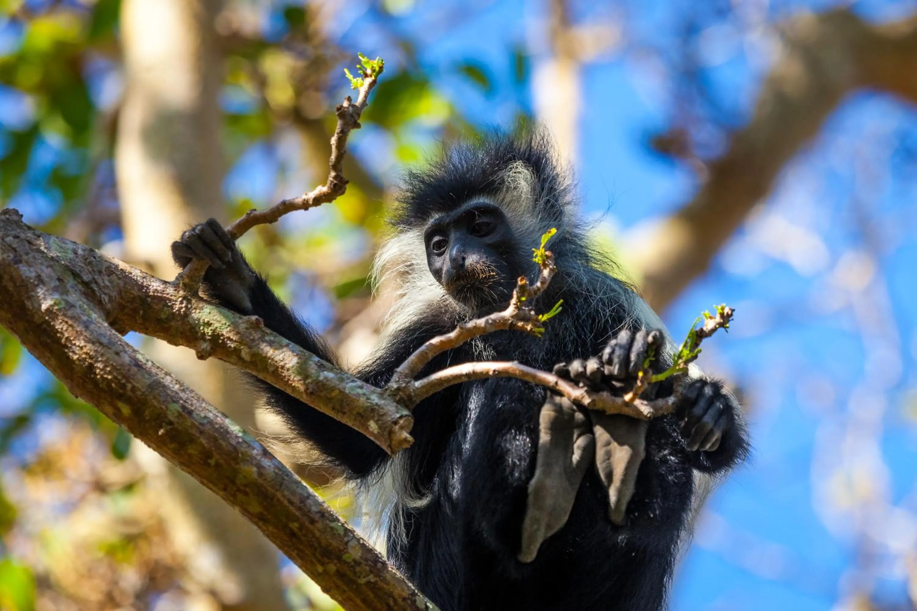 Day in Diani Sea Resort - All Inclusive