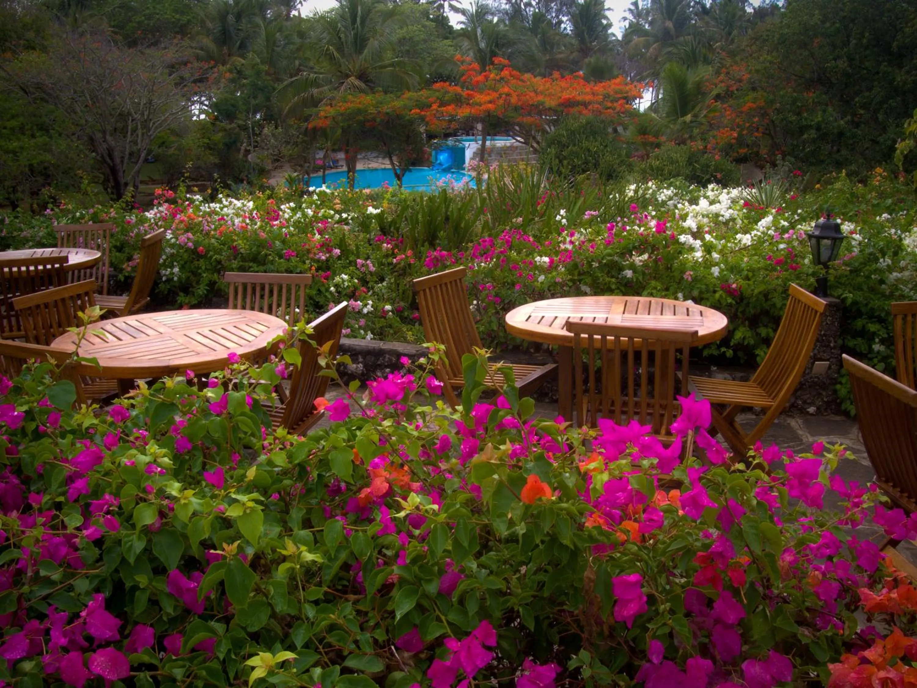Facade/entrance in Diani Sea Resort - All Inclusive