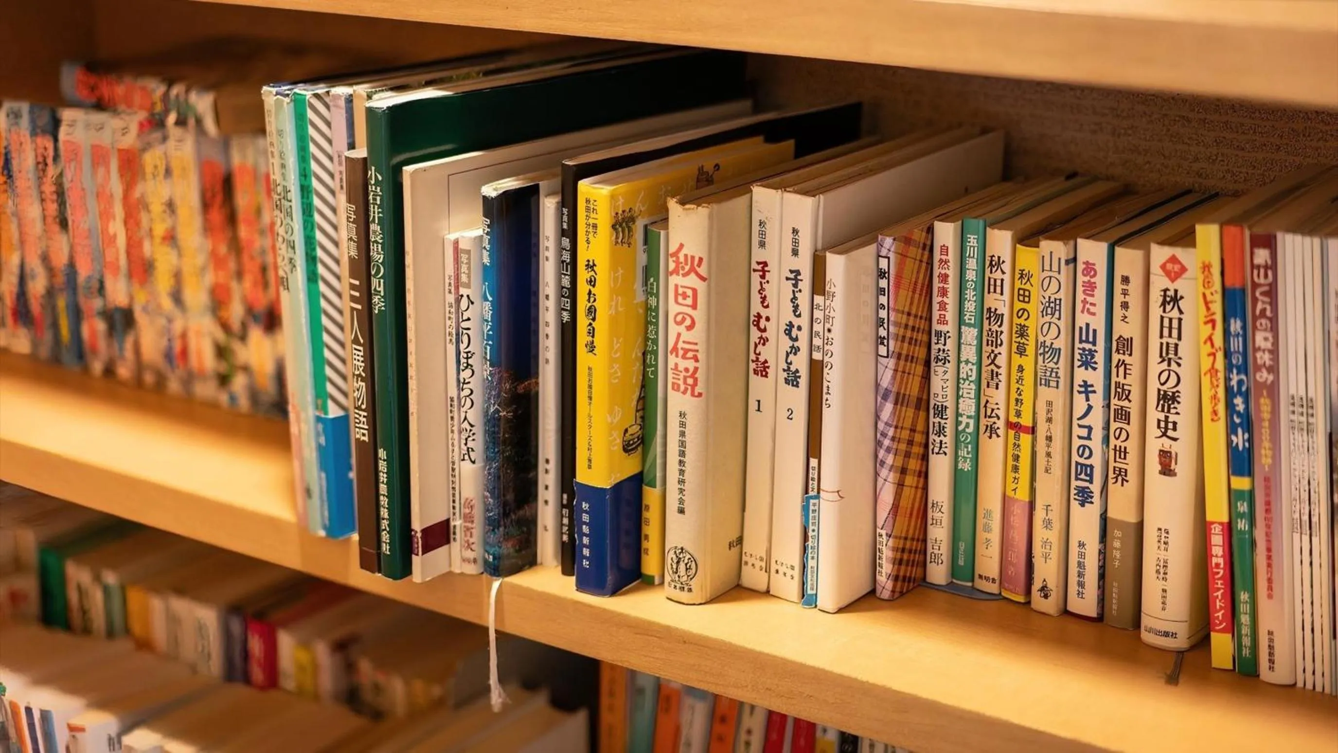 Area and facilities in Kashintei Shirahama