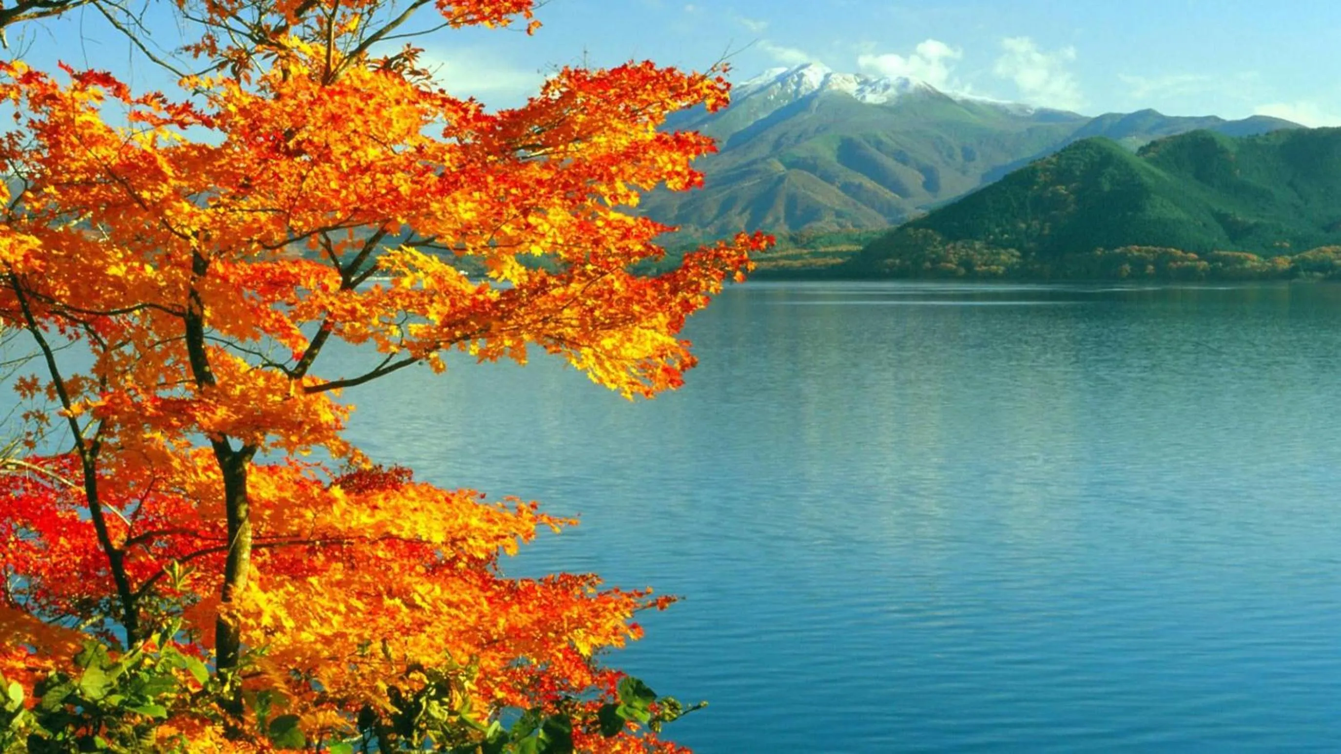 Nearby landmark in Kashintei Shirahama