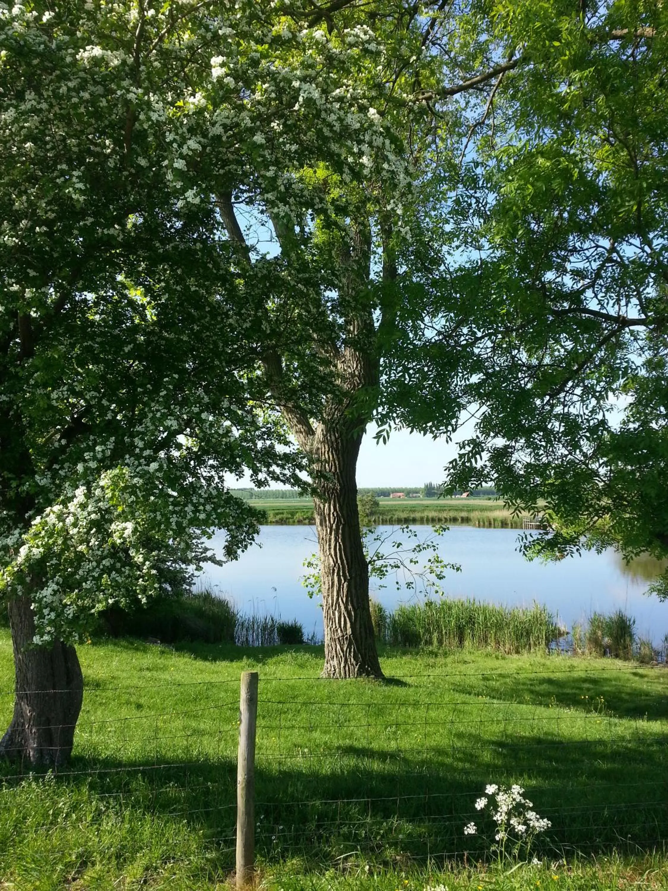 Area and facilities in De Eenhoorn