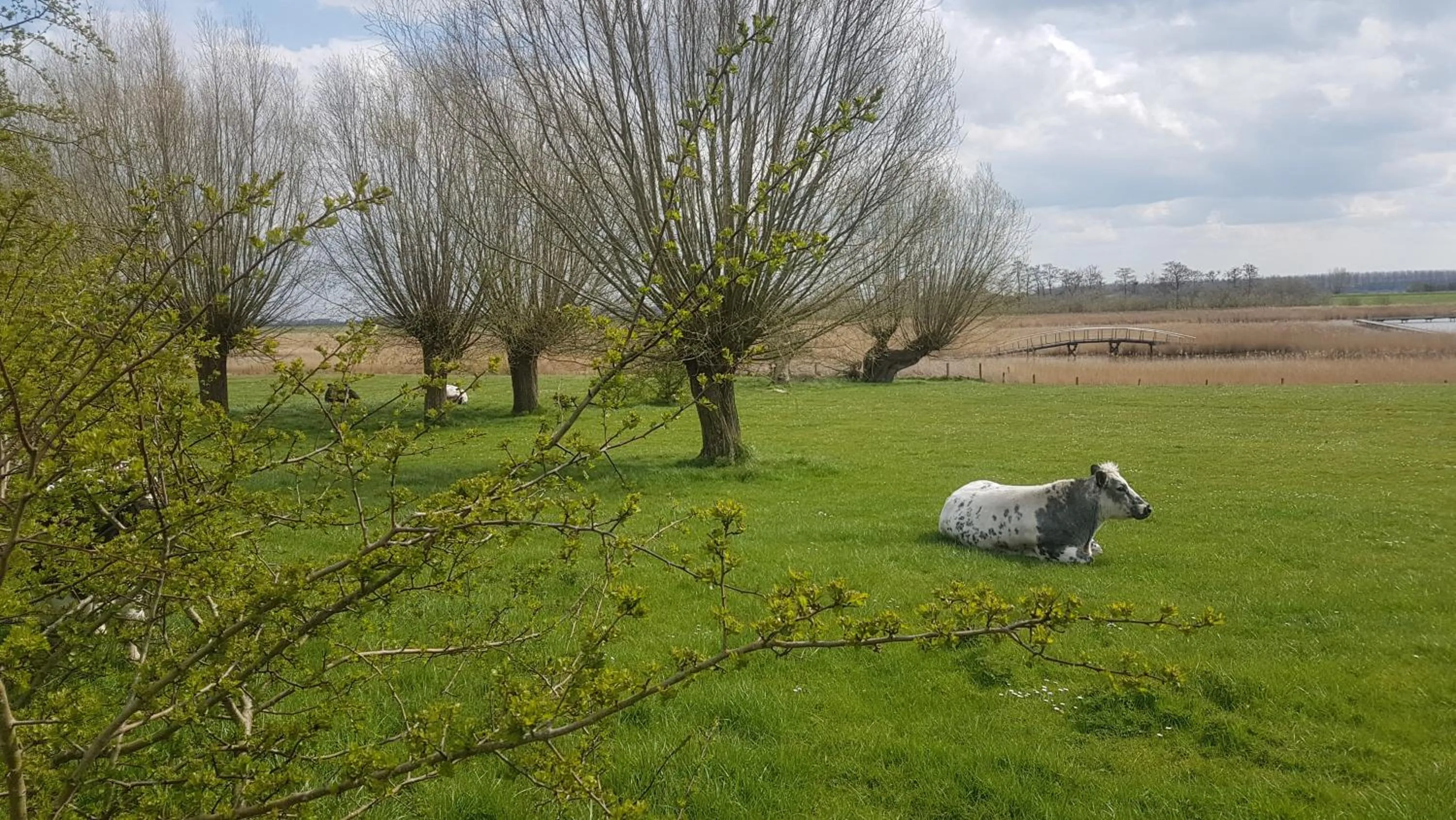 Area and facilities in De Eenhoorn