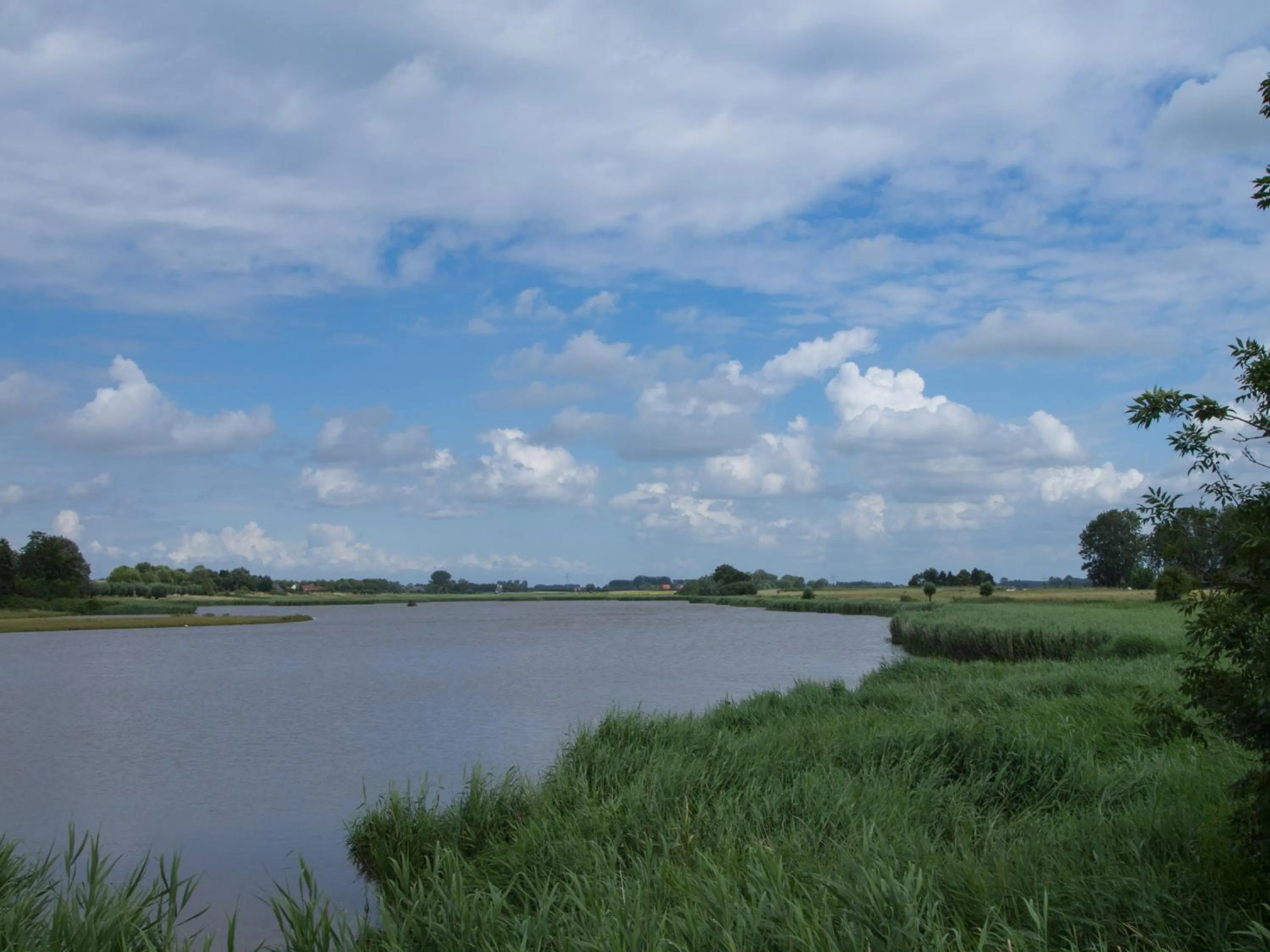 Natural landscape in De Eenhoorn