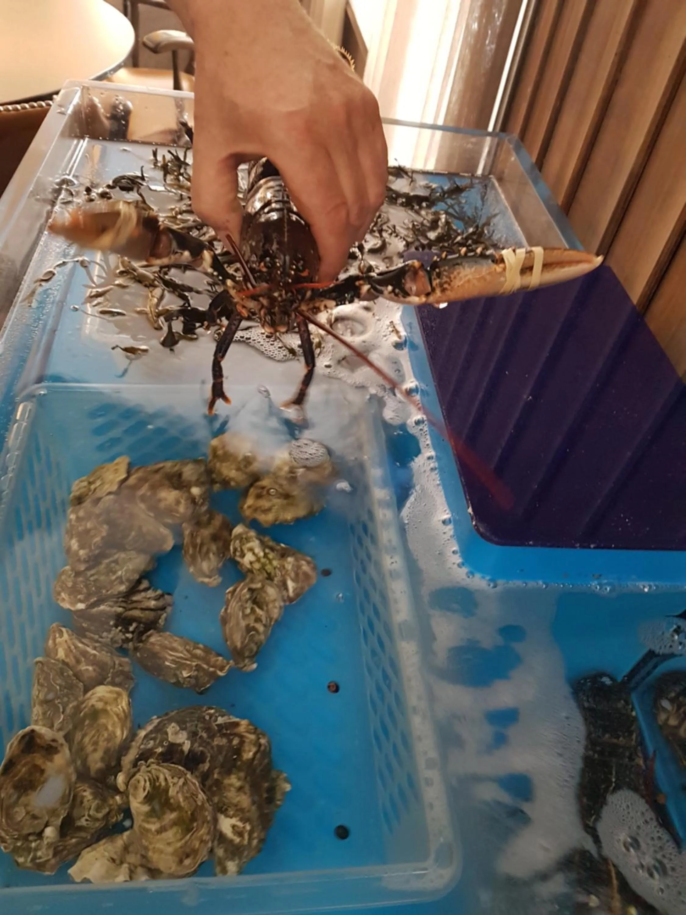 Dinner in De Eenhoorn