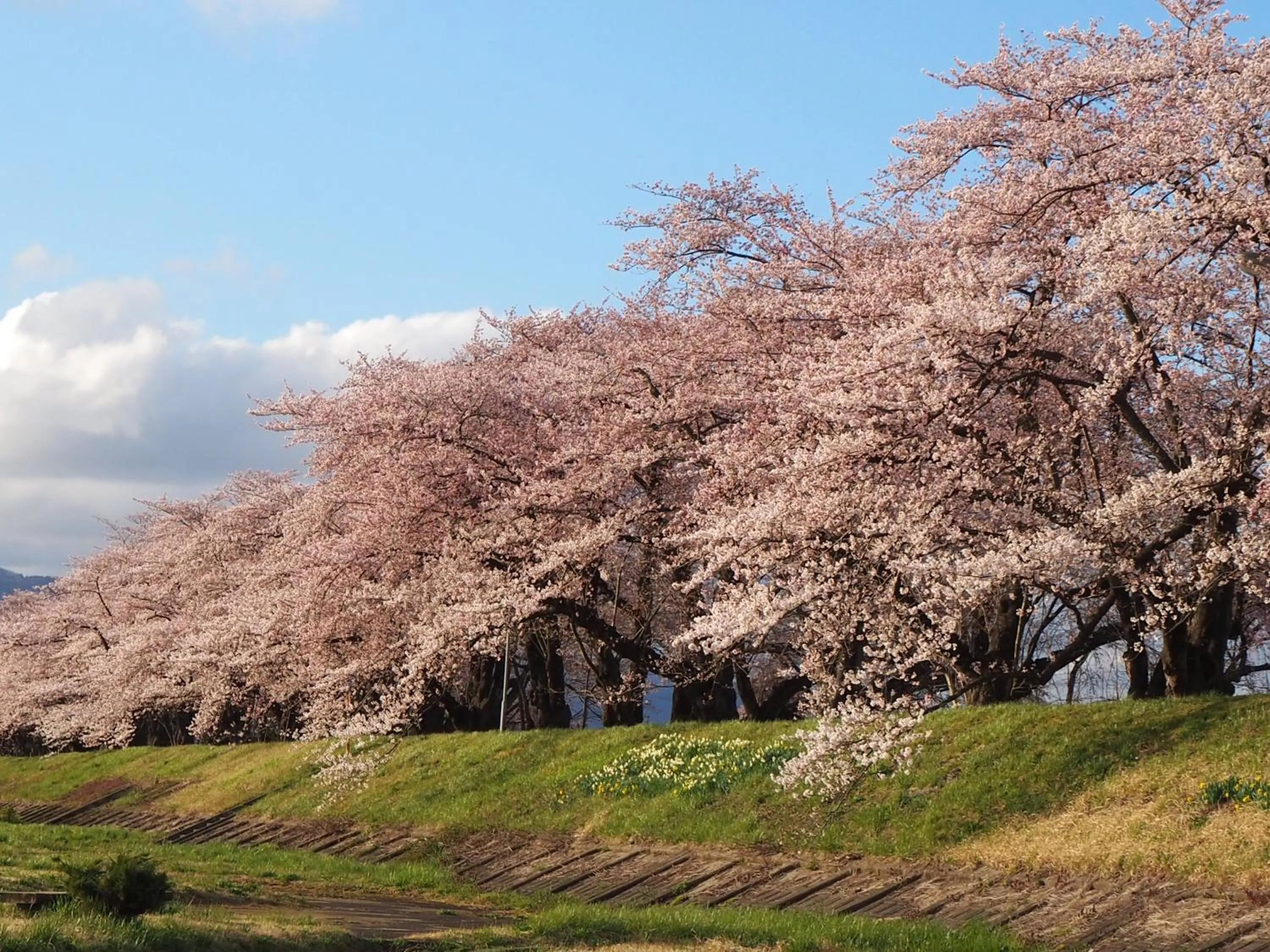 Nearby landmark in Katakurinohana