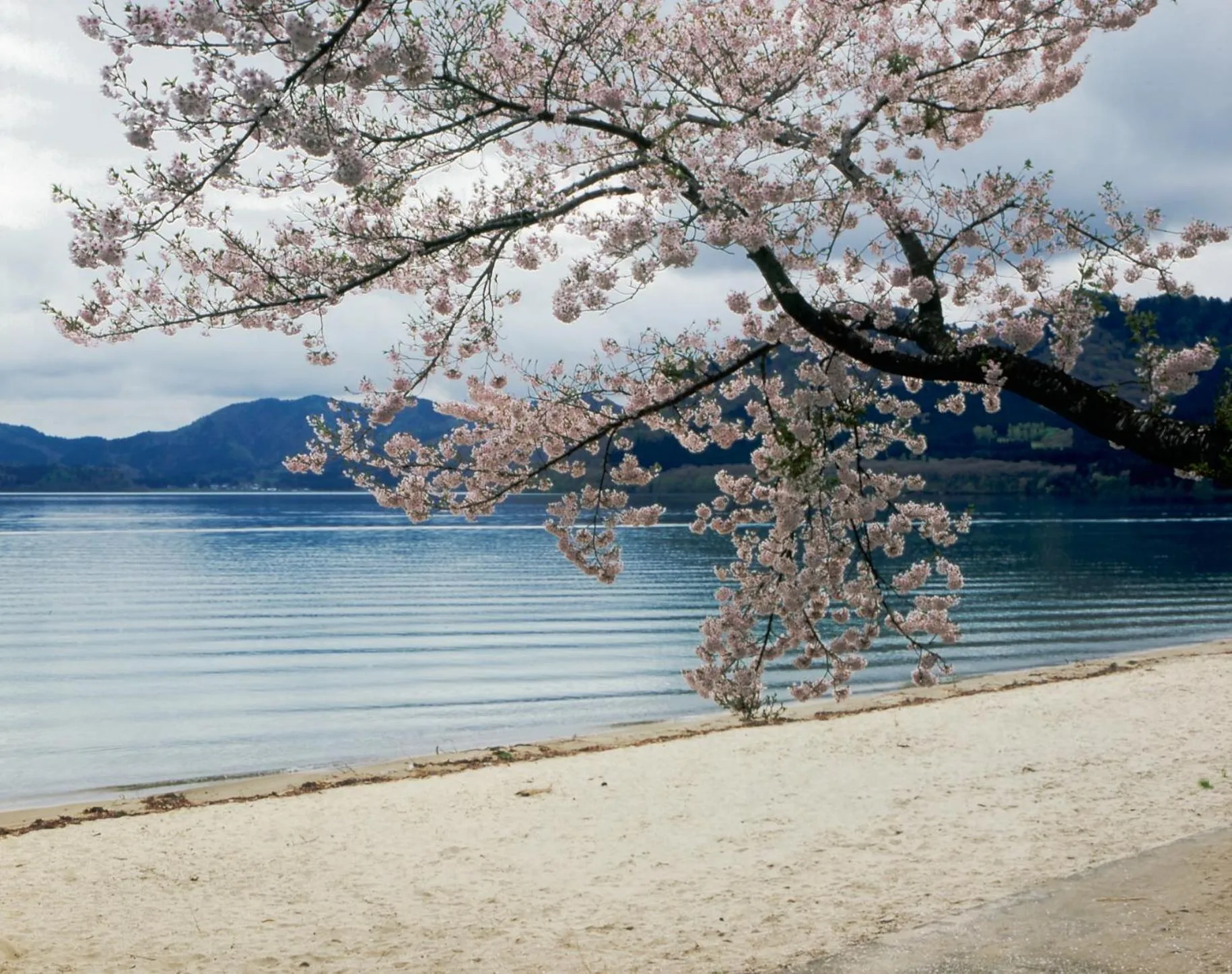 Nearby landmark in Katakurinohana