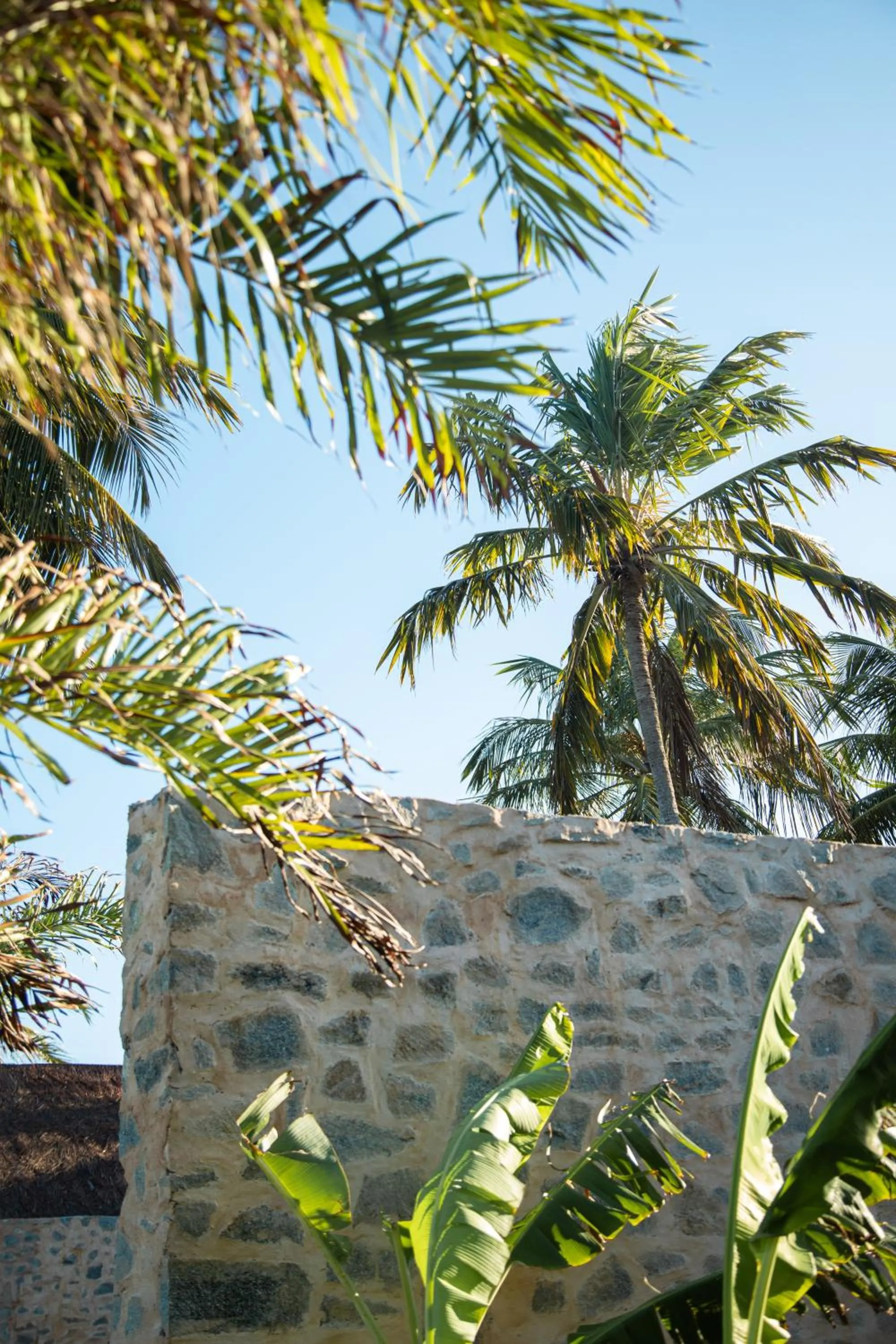 Natural landscape in Paru Boutique Hotel