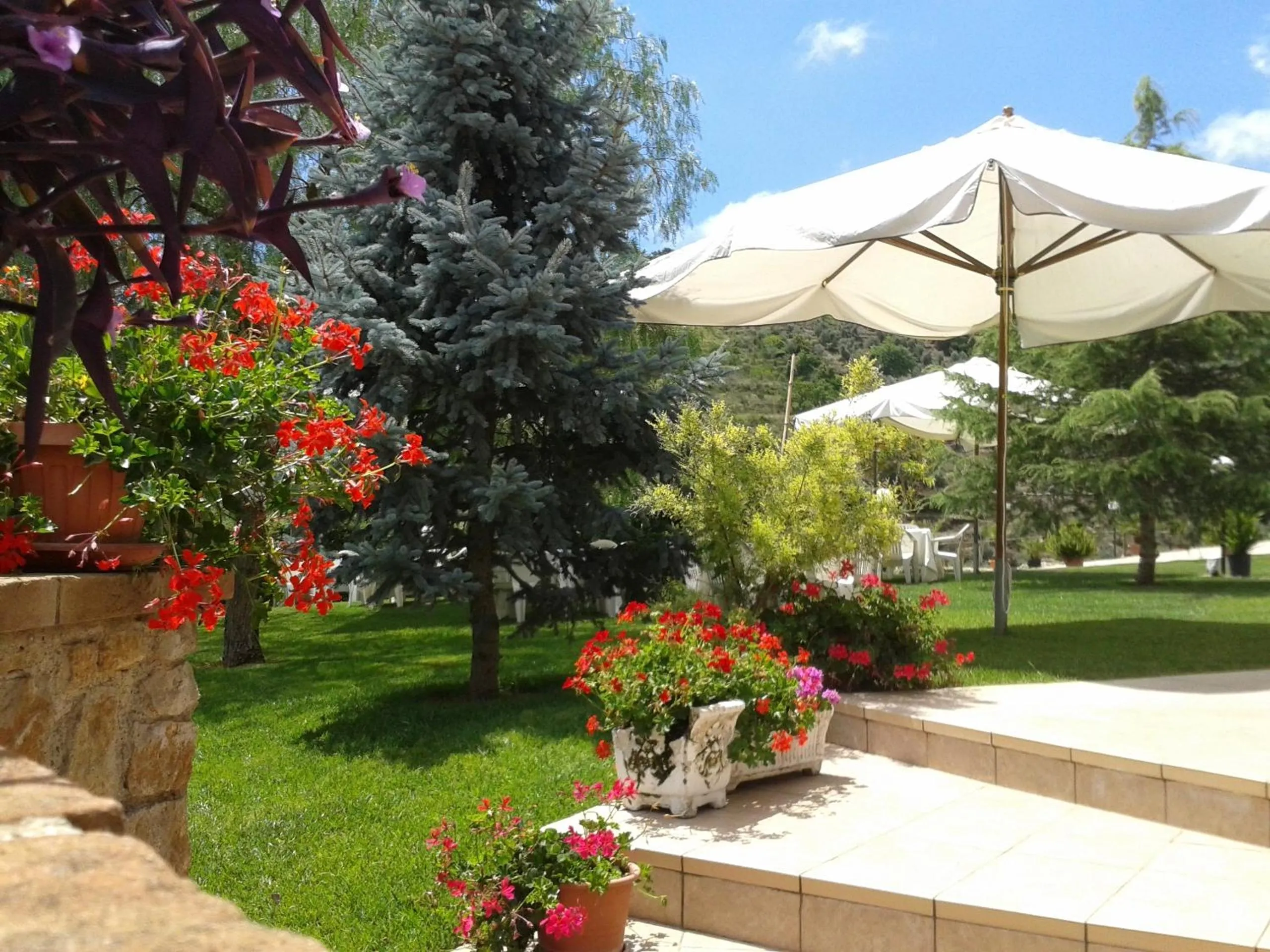 Garden in Albergo Villa Riccio