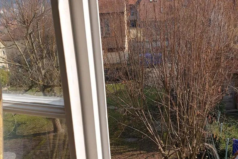 Spring in Gasthof Blauer Bock