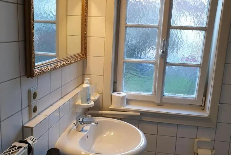 Toilet in Gasthof Blauer Bock