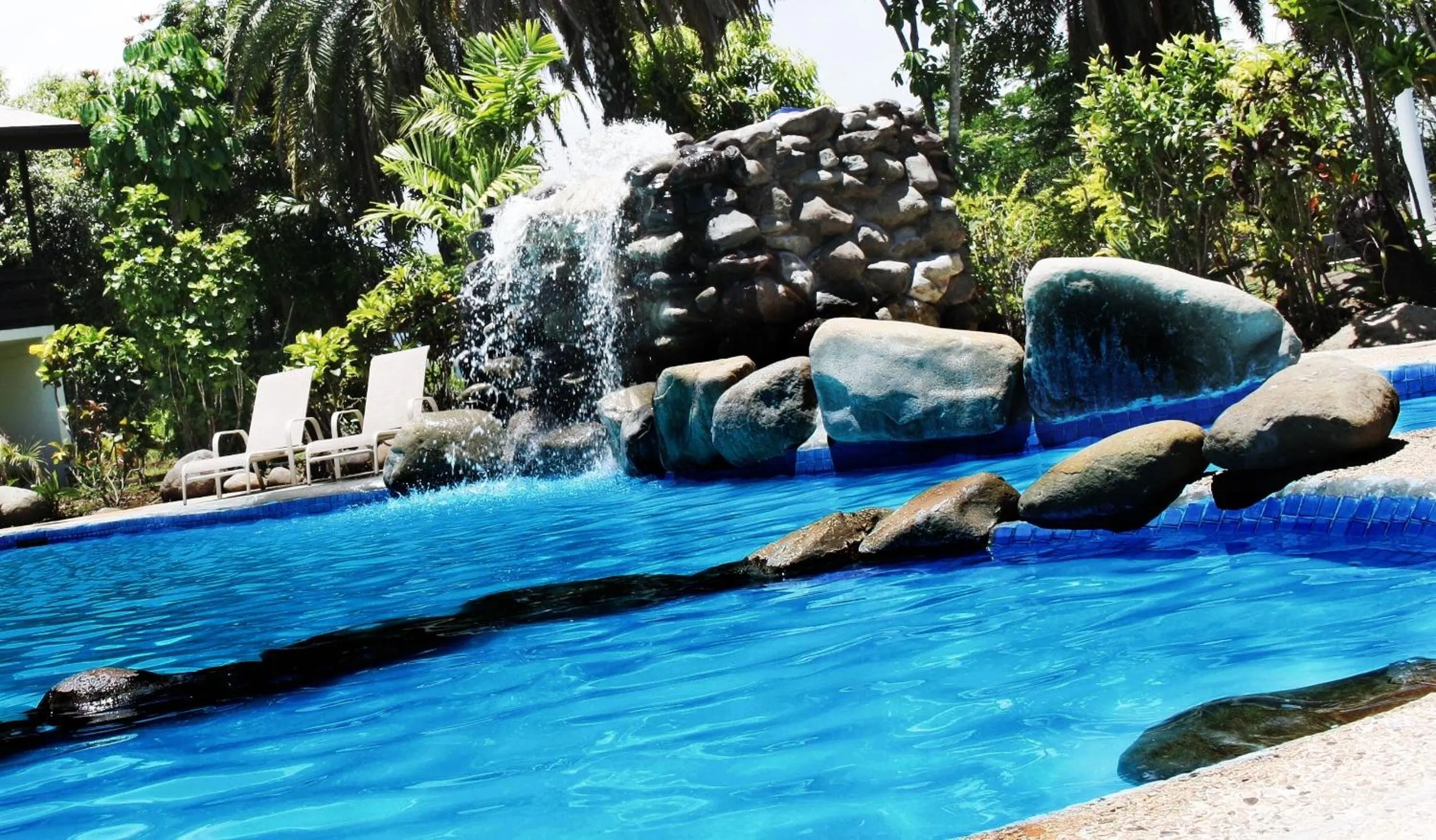 Natural landscape in Hotel Oasis