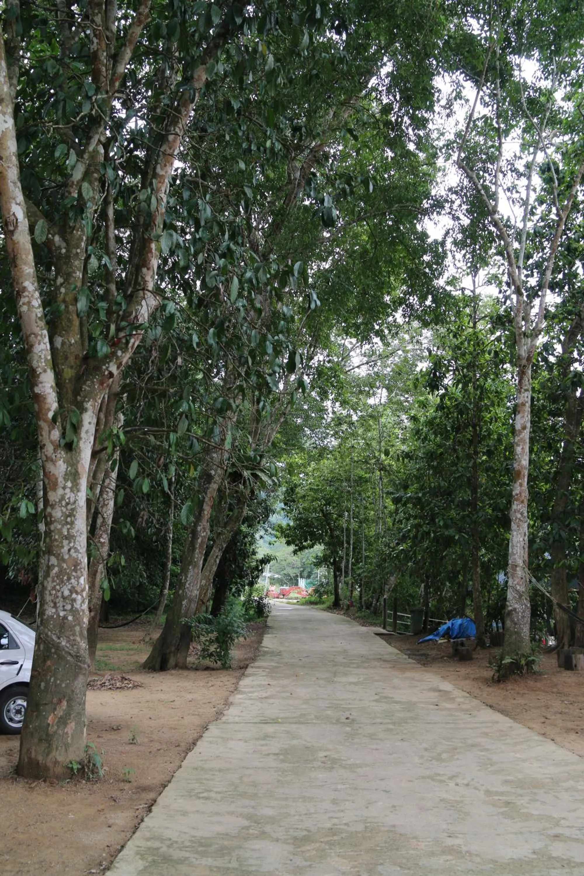 Garden in Borneo Natural Sukau Bilit Resort