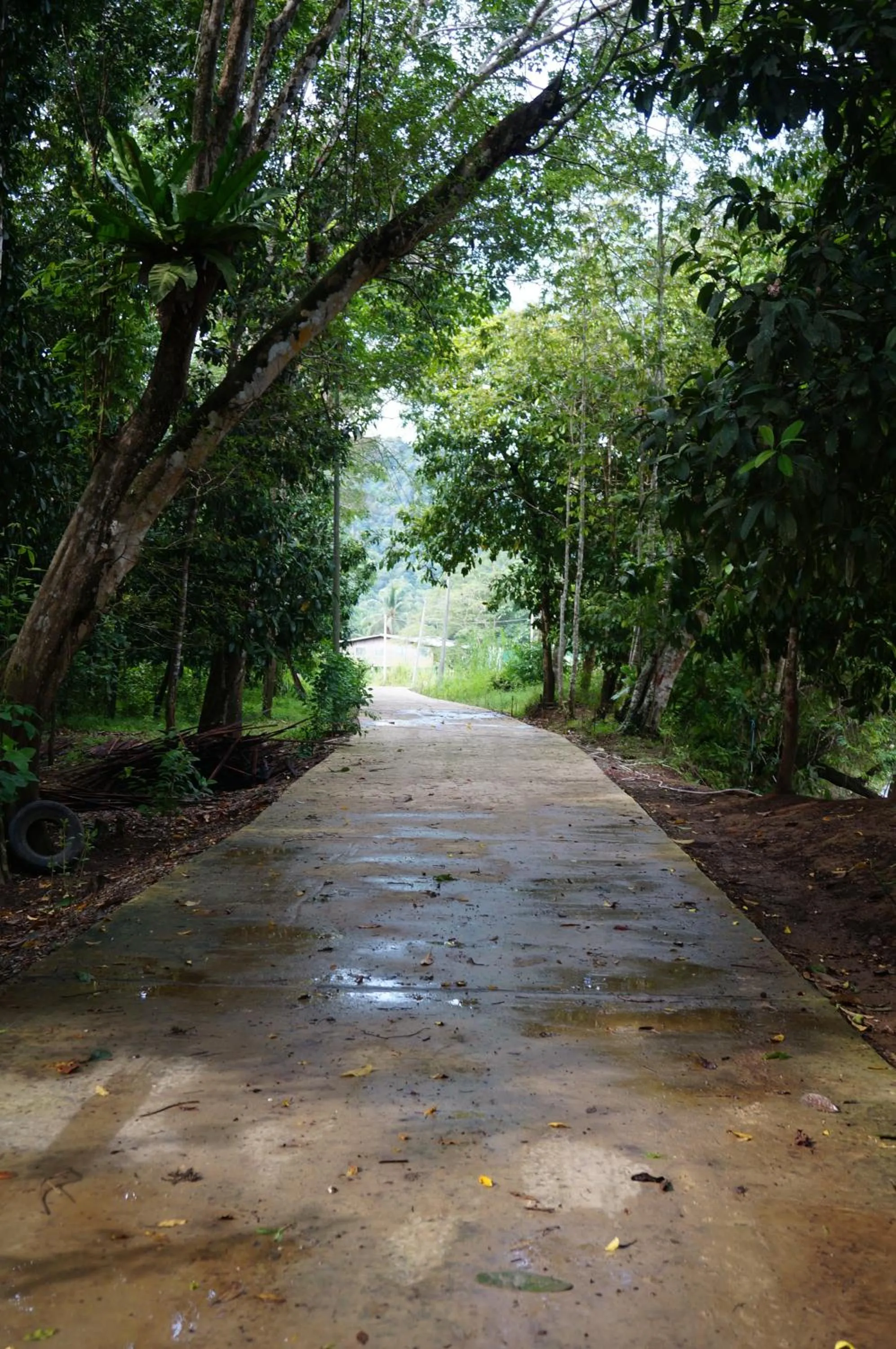 Facade/entrance in Borneo Natural Sukau Bilit Resort