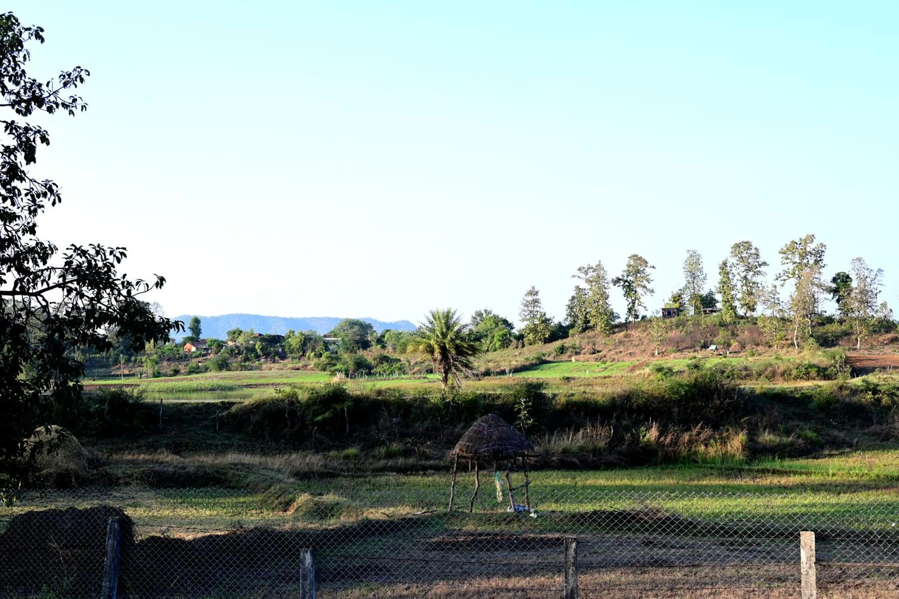 Mountain view in The Golden Woods Resort