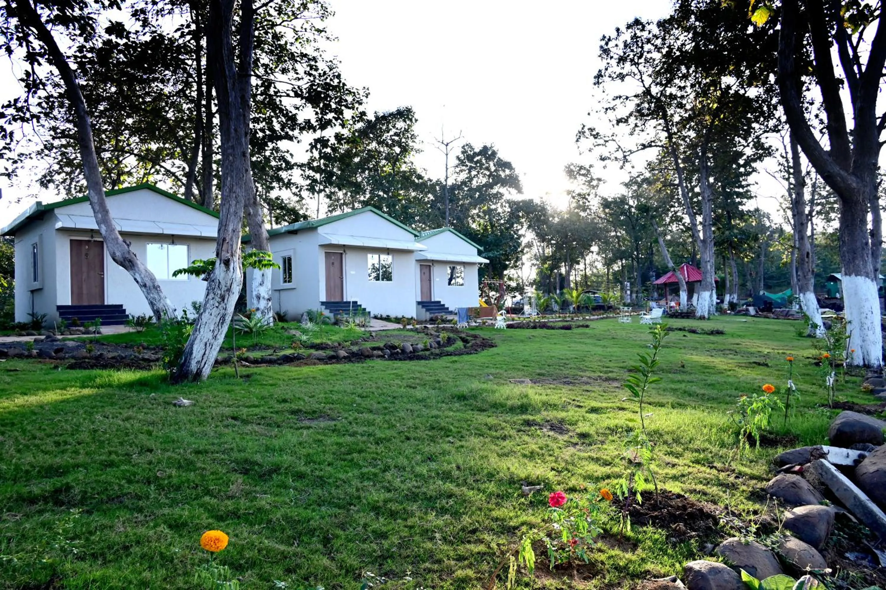 Natural landscape in The Golden Woods Resort