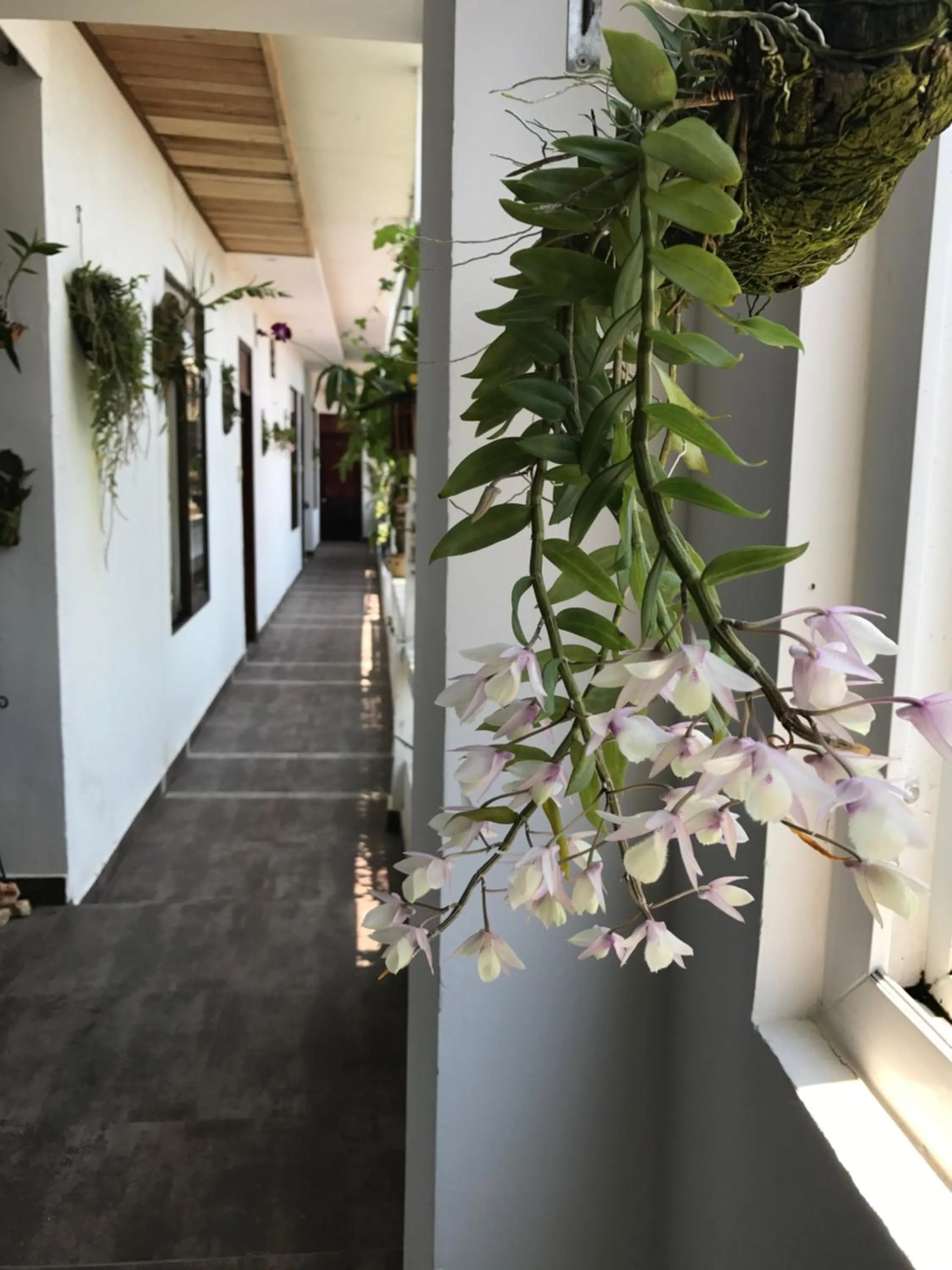 Balcony/Terrace in Sunny A Hotel