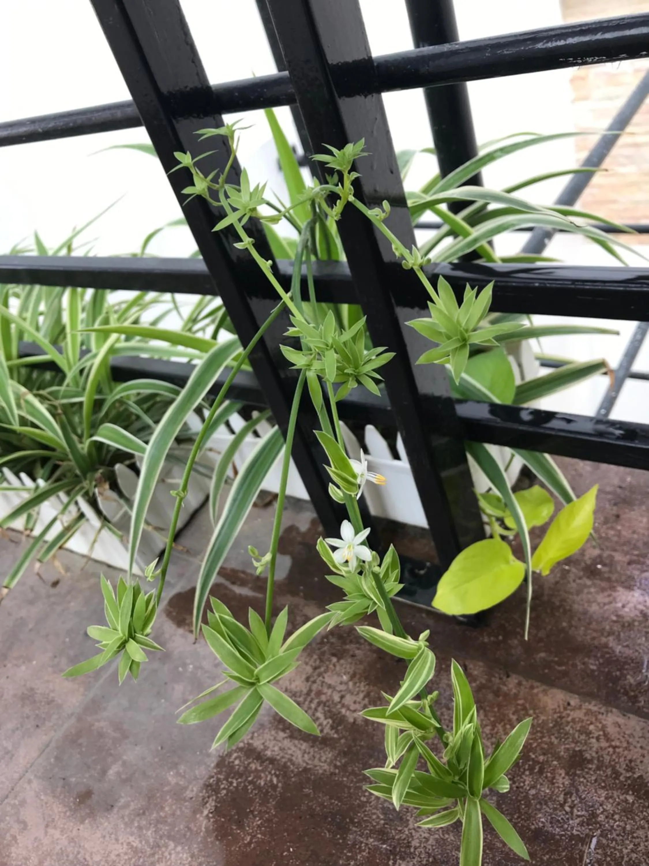 Other in Sunny A Hotel