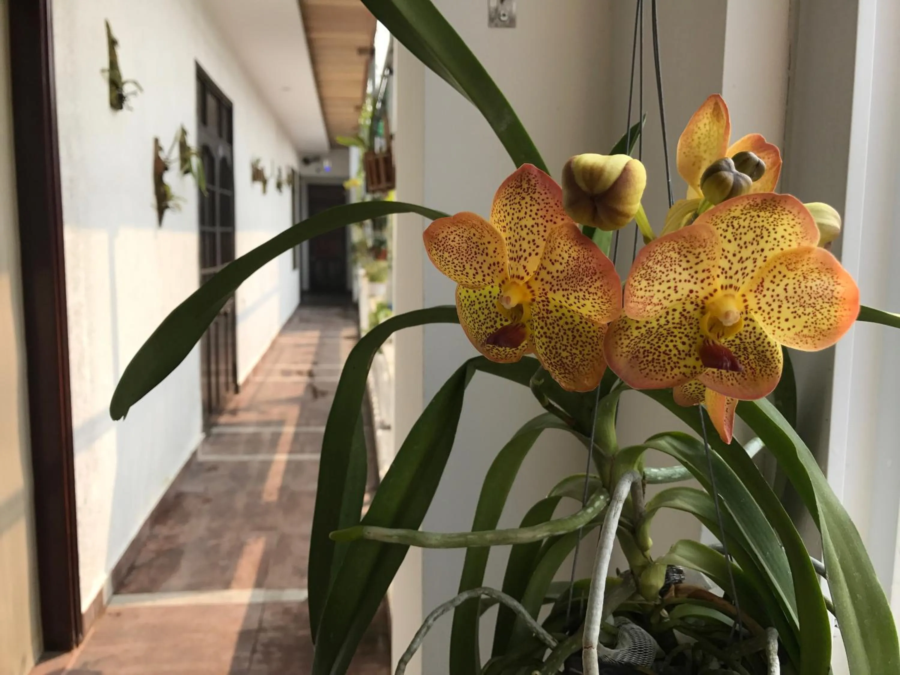 Lobby or reception in Sunny A Hotel