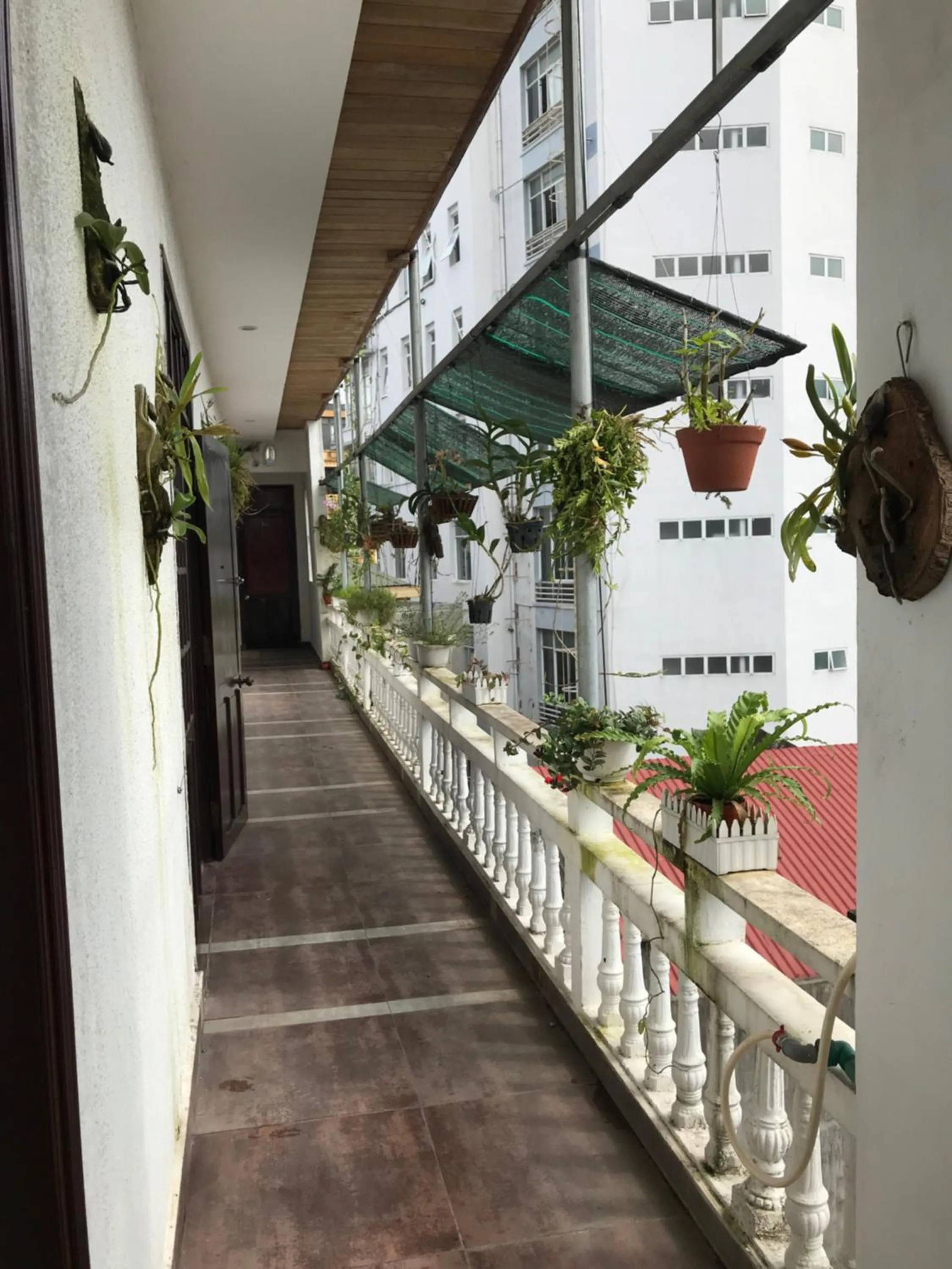 Balcony/Terrace in Sunny A Hotel
