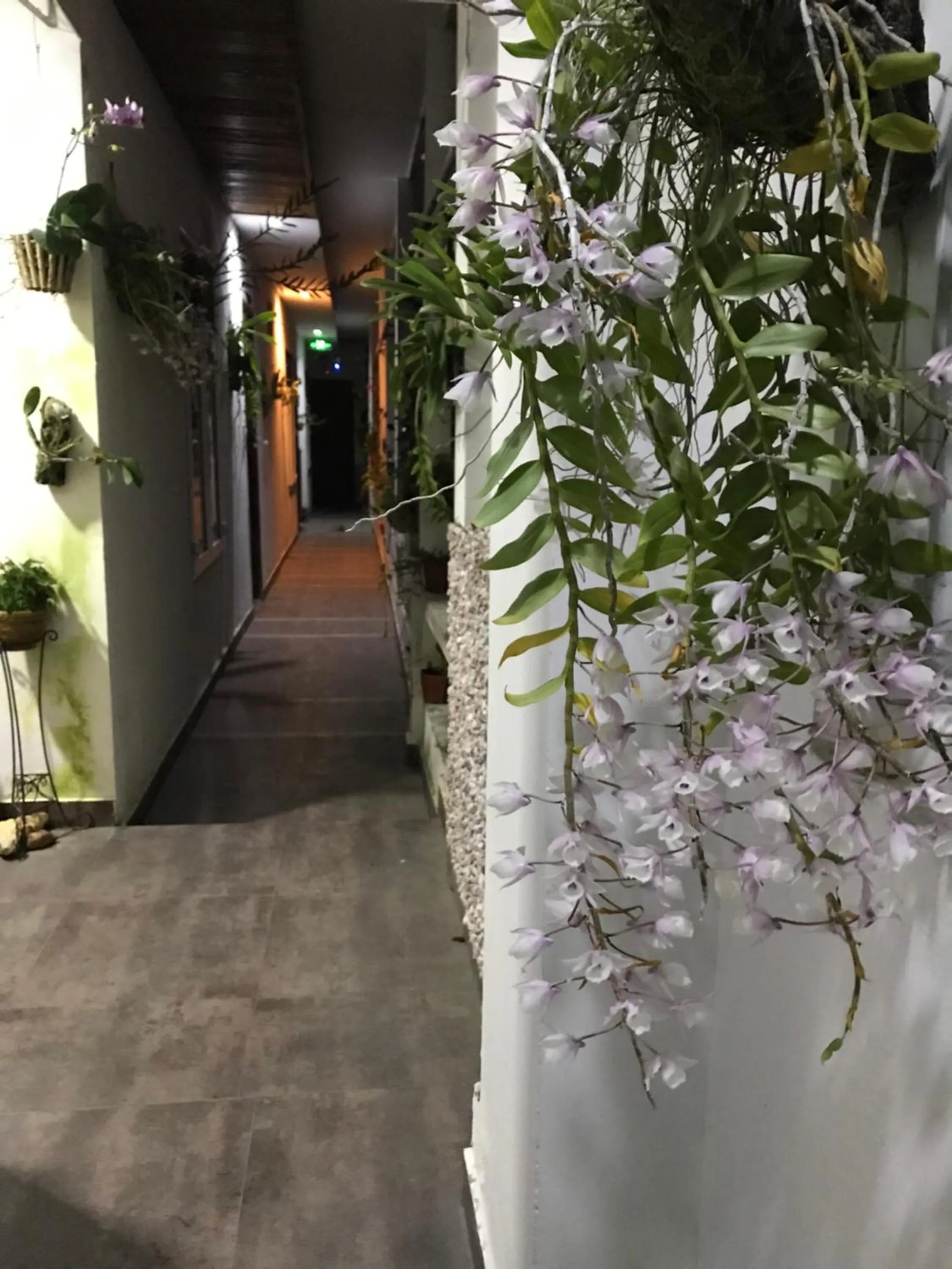 Balcony/Terrace in Sunny A Hotel