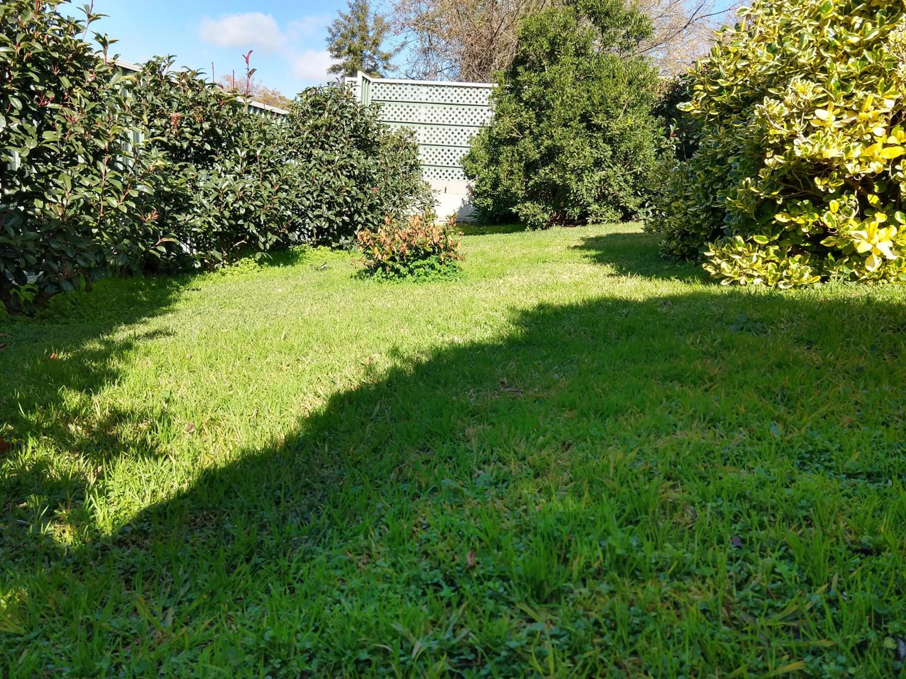 Garden in Goldrush Motel Young CBD