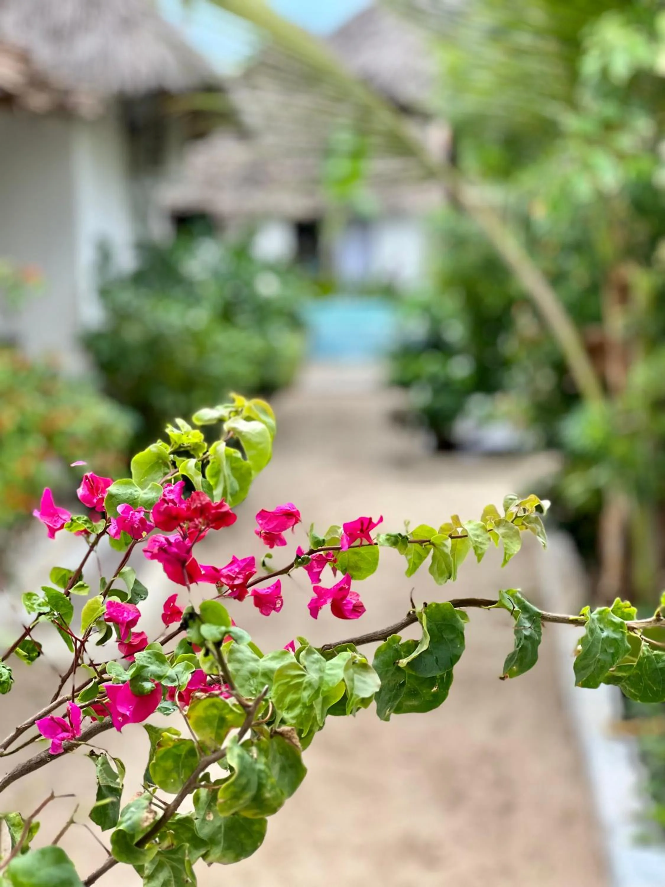 Decorative detail in Jambiani White Sands Bungalows
